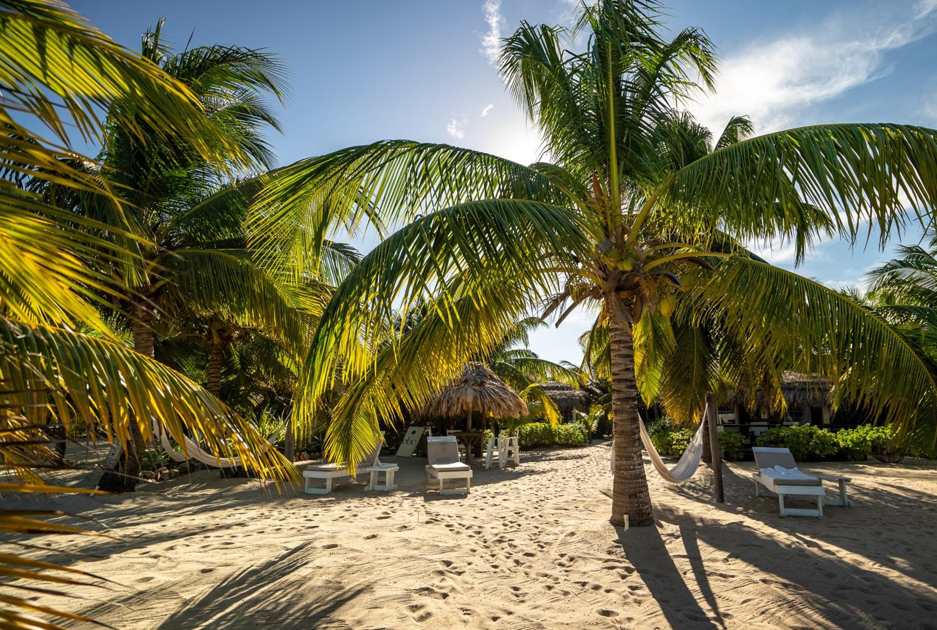 Caribbean Beach Cabanas