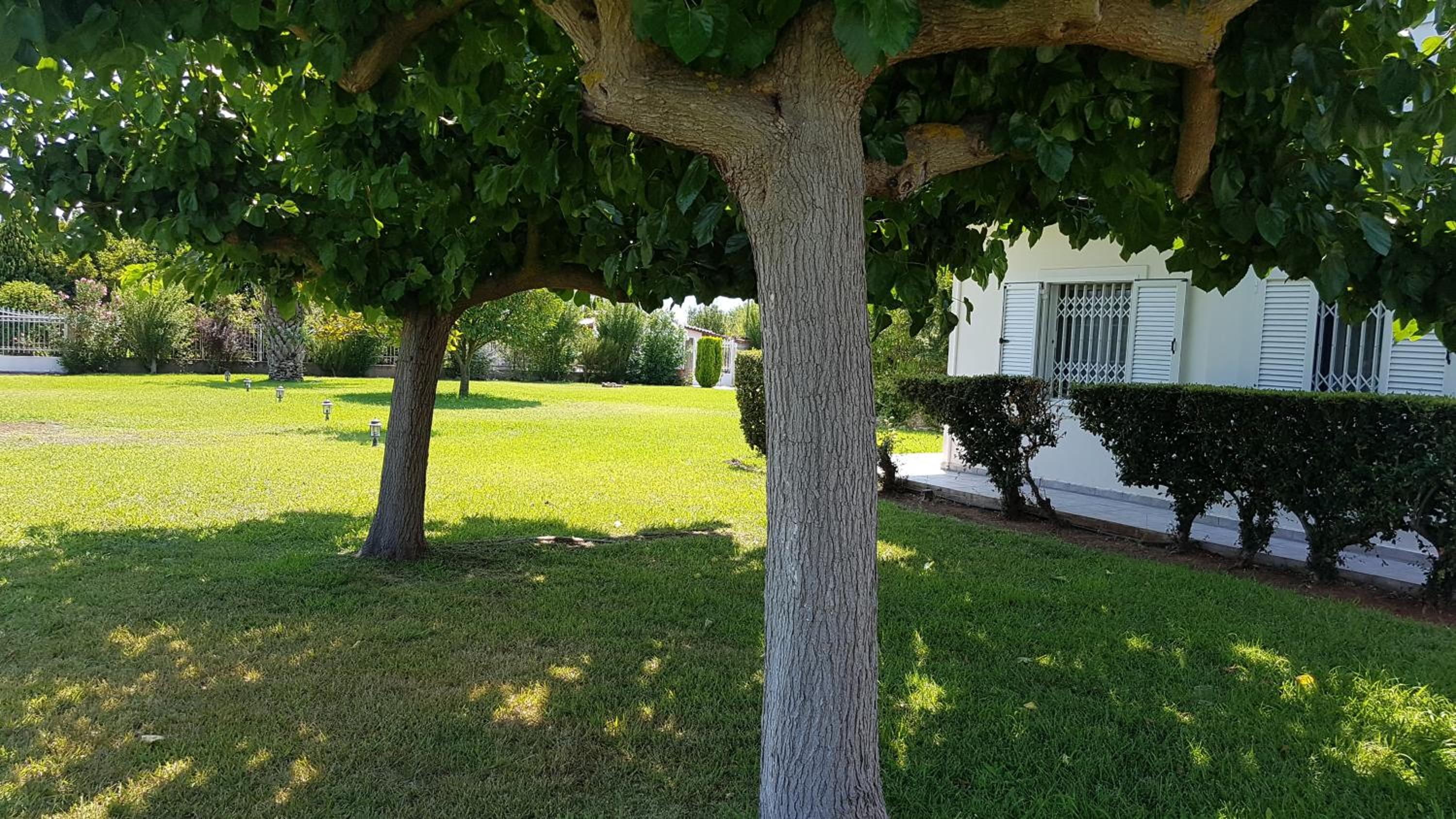 Silver villa Raches maisonette & Green view 4