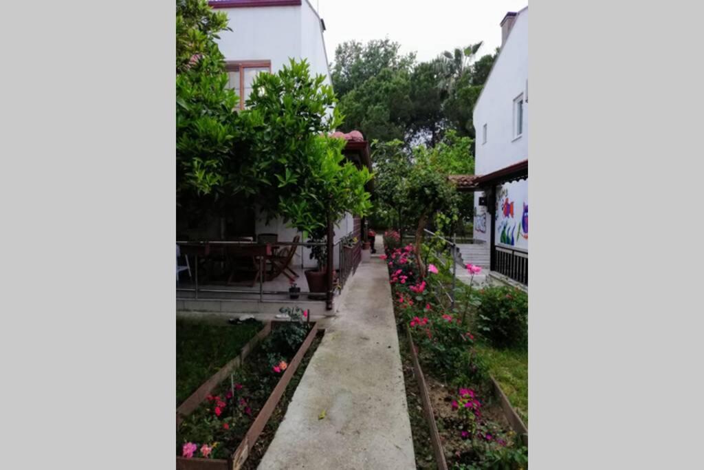 Photo 35