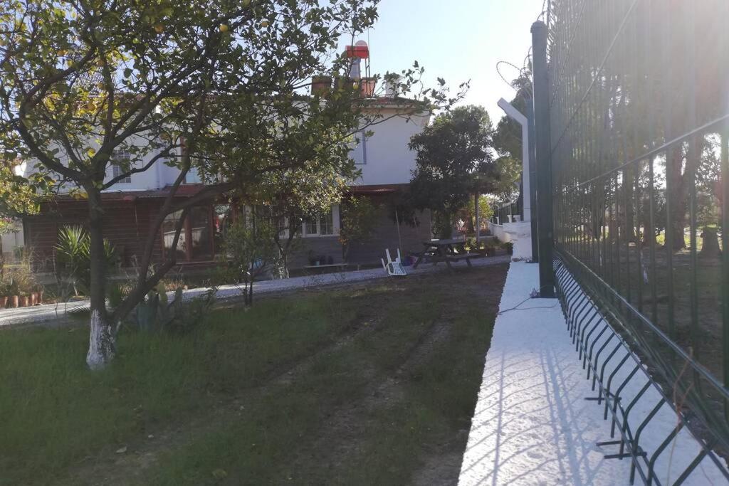 Photo 14