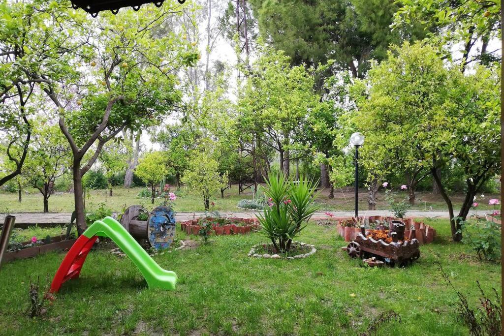 Photo 46