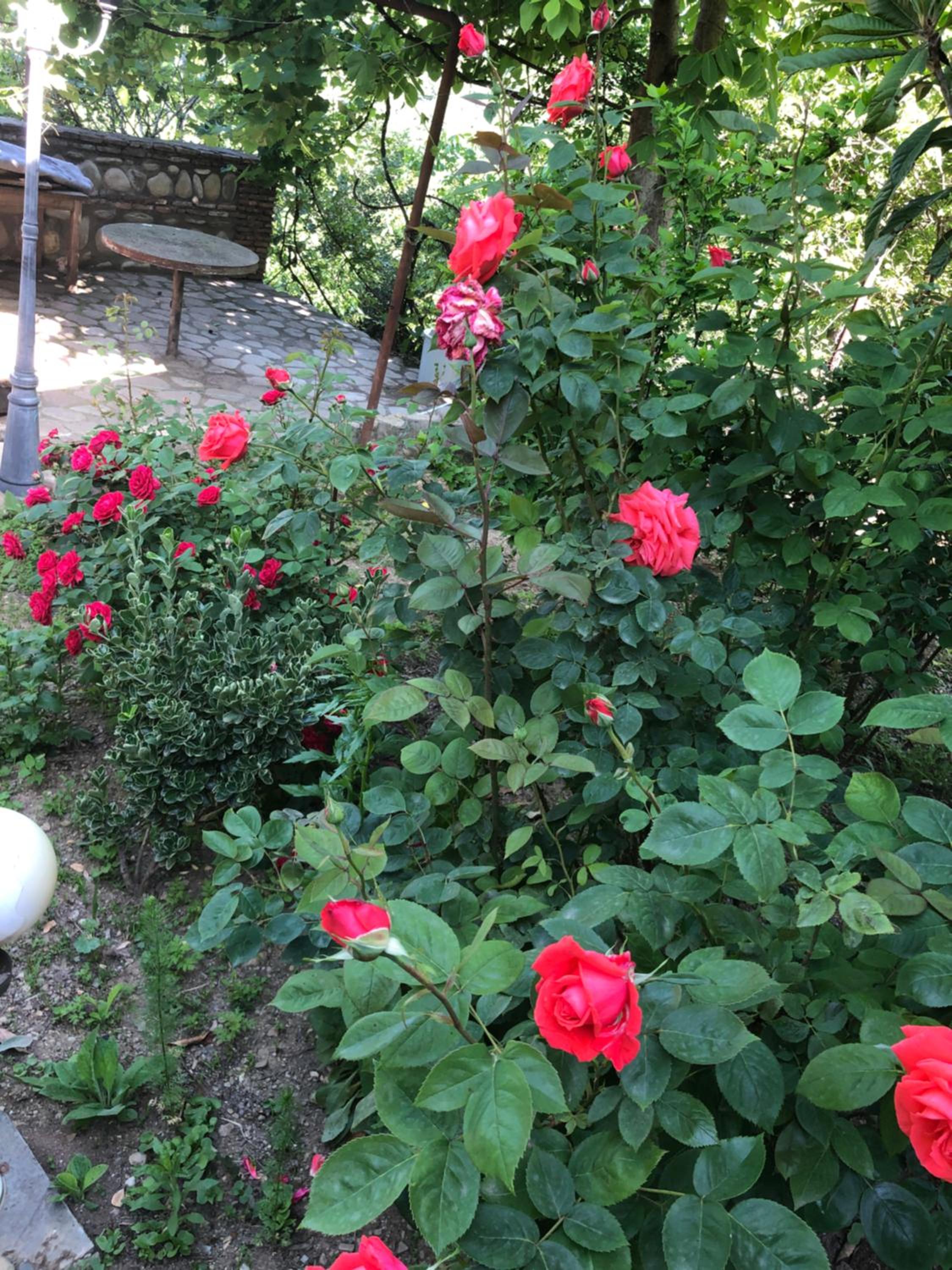 Photo 22
