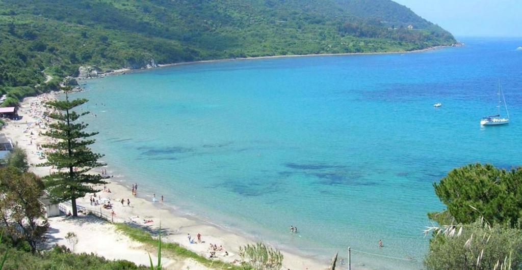 THE ATTIC ROOM photo 3