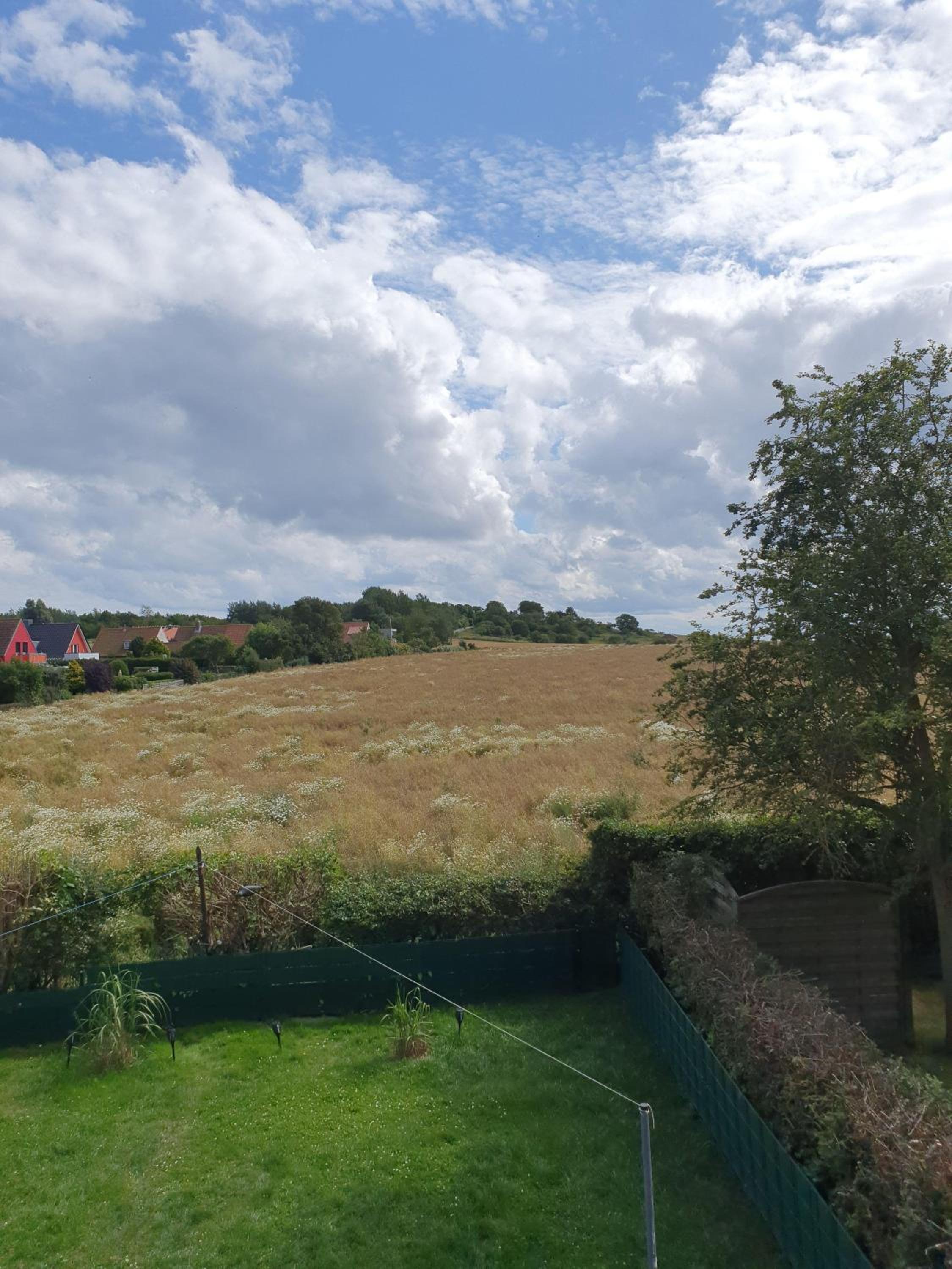 Ferienwohnung-Tomme view 4