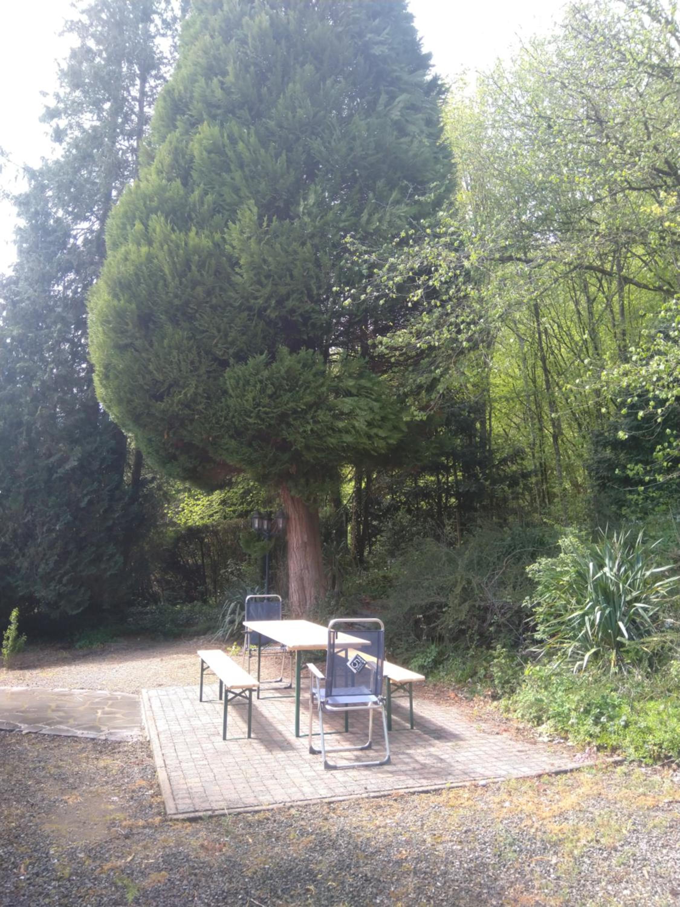 A l'Orée du Bois