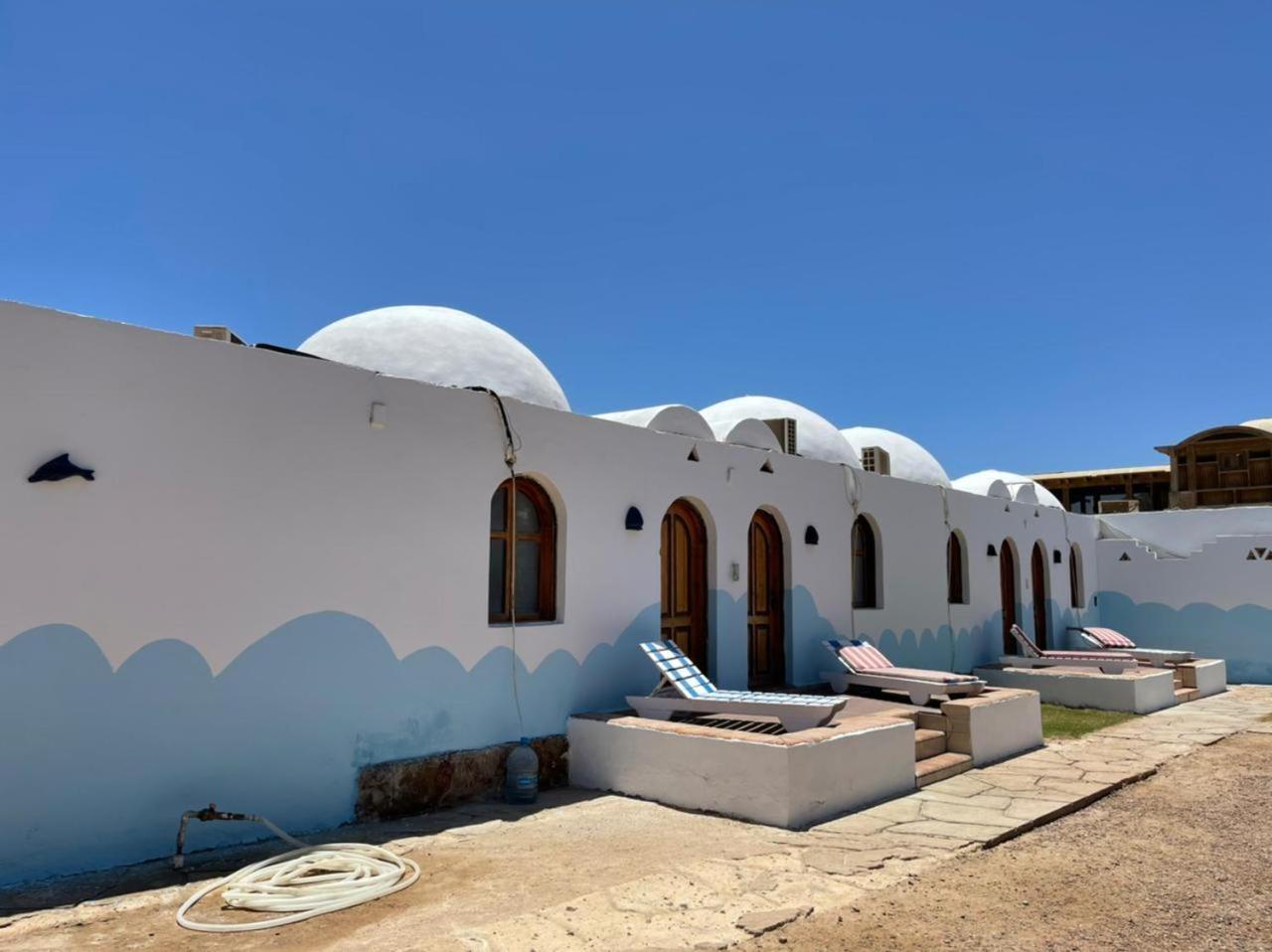 Dolphin Camp - Image 5