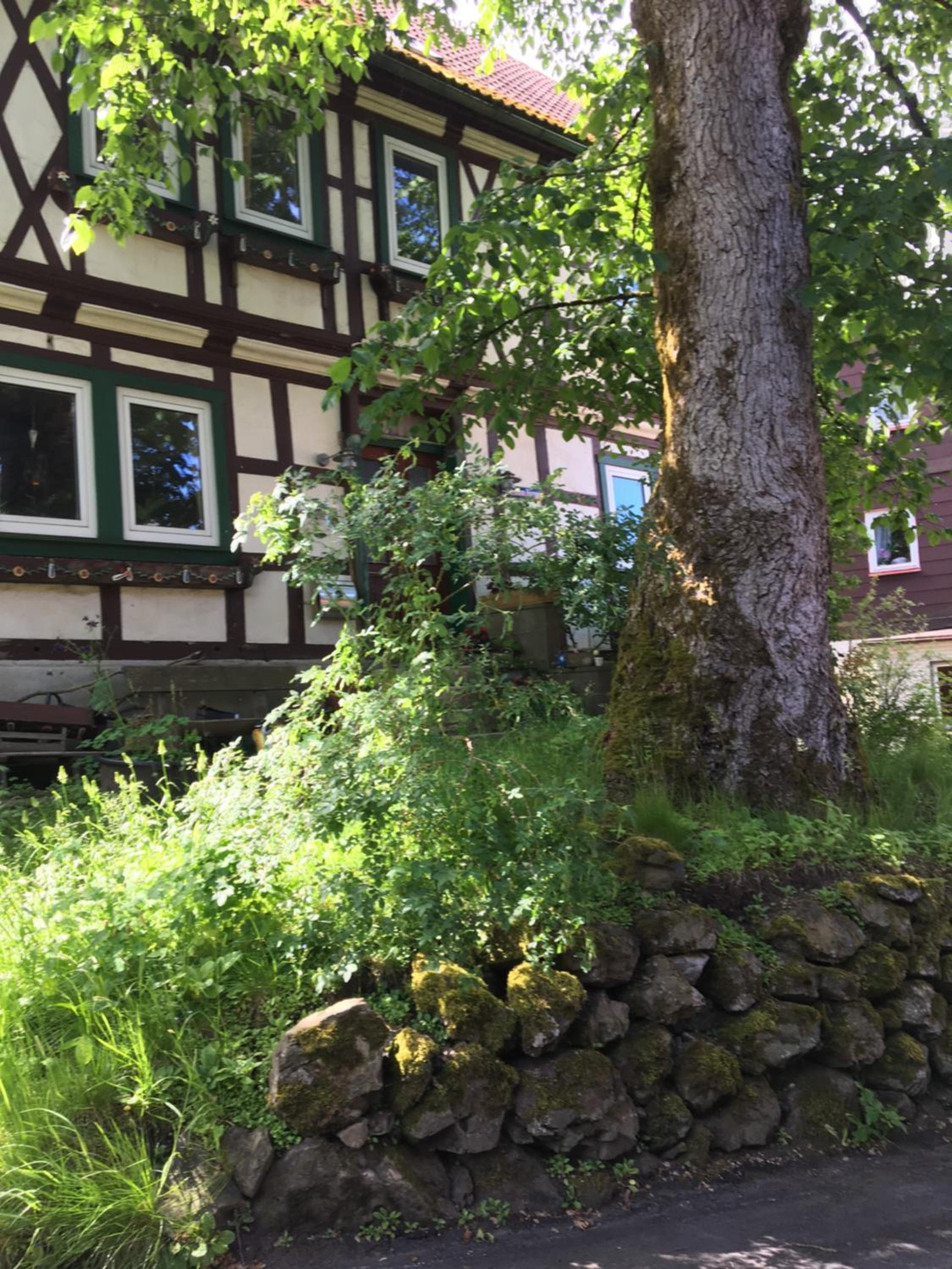 Blockhaus Harzblick4C view 4