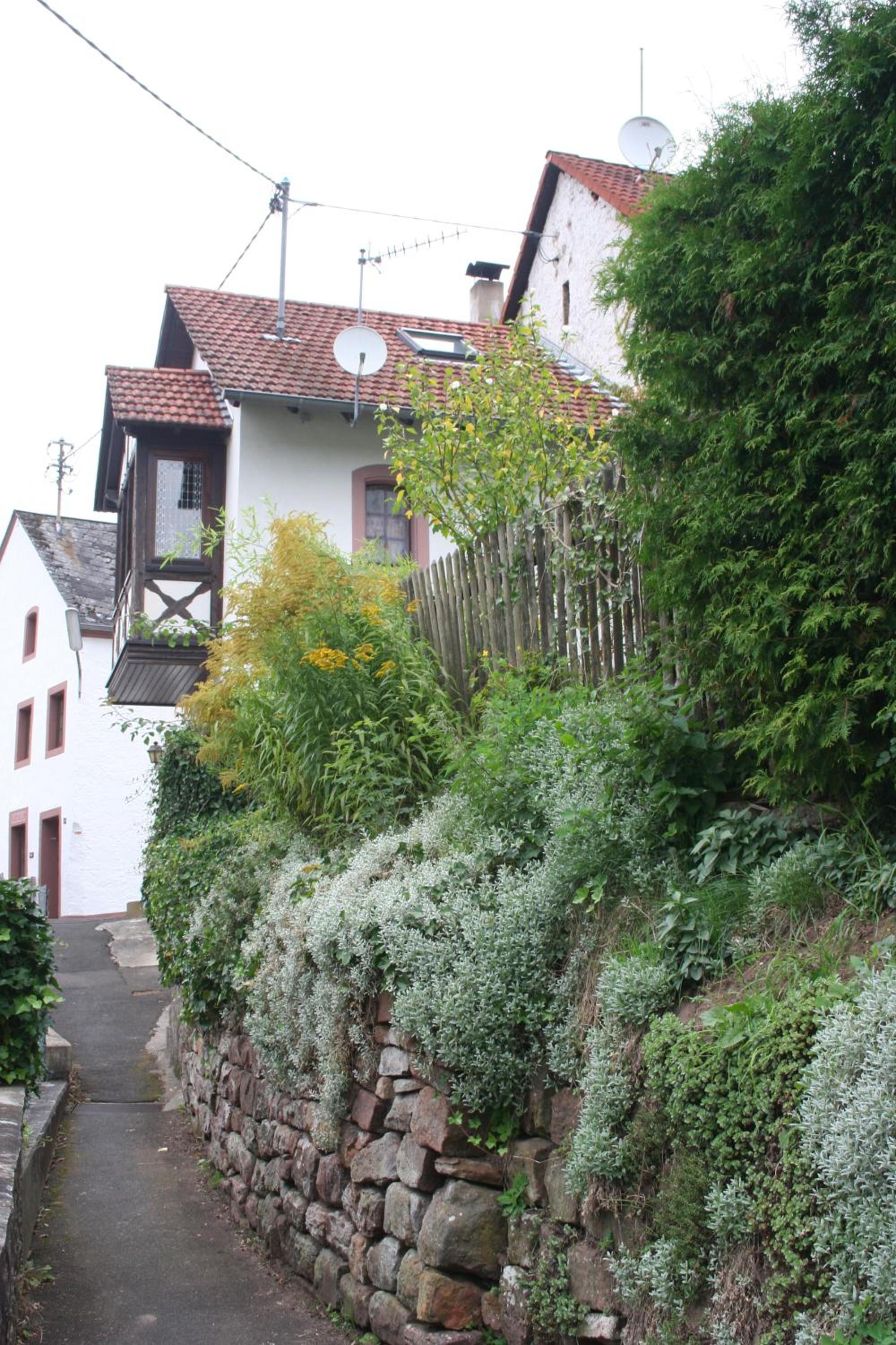 Eifel Duitsland fraai vakantiehuis met tuin