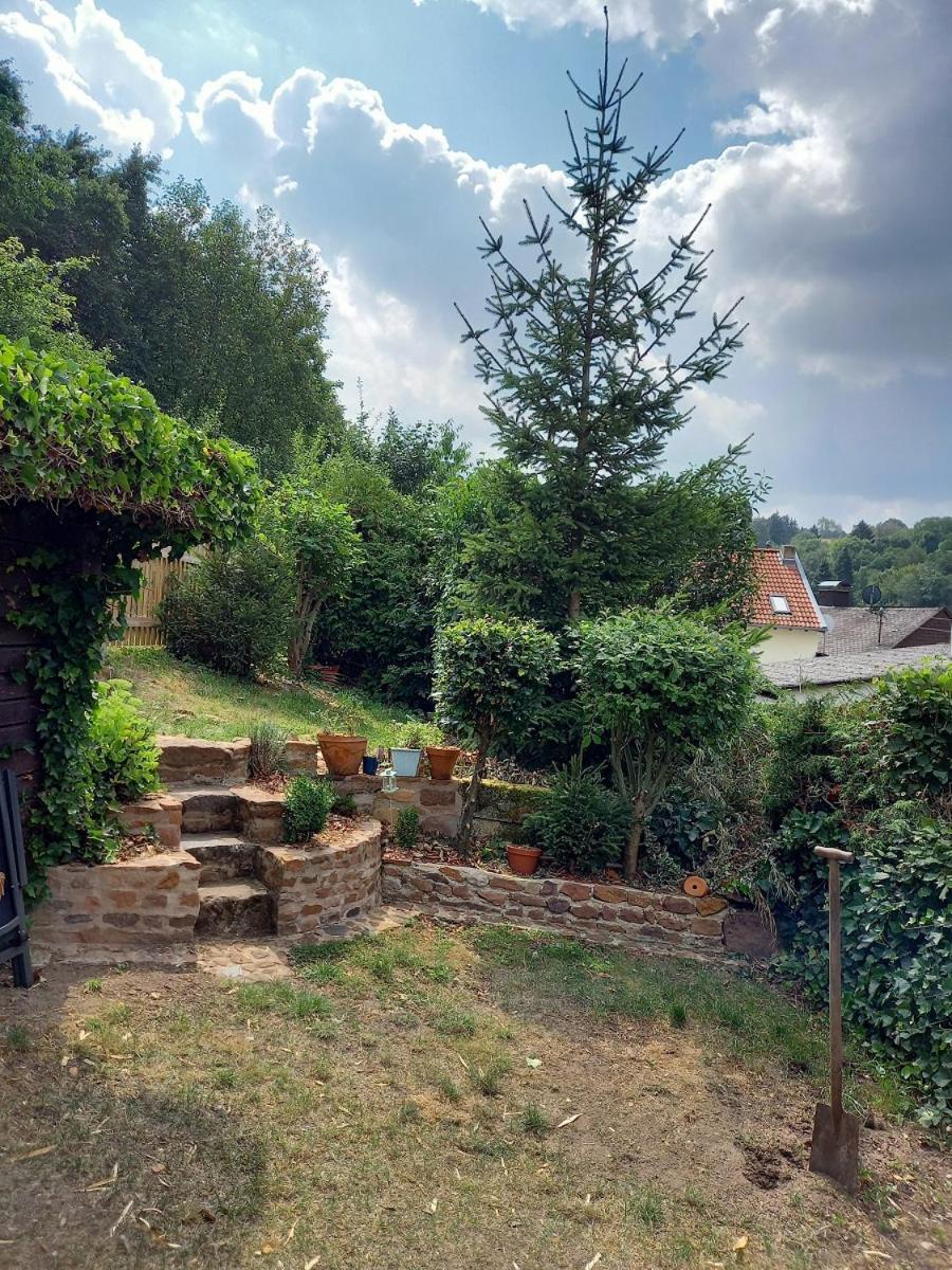 Eifel Duitsland fraai vakantiehuis met tuin