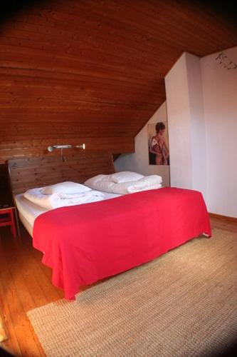 Eifel Duitsland fraai vakantiehuis met tuin