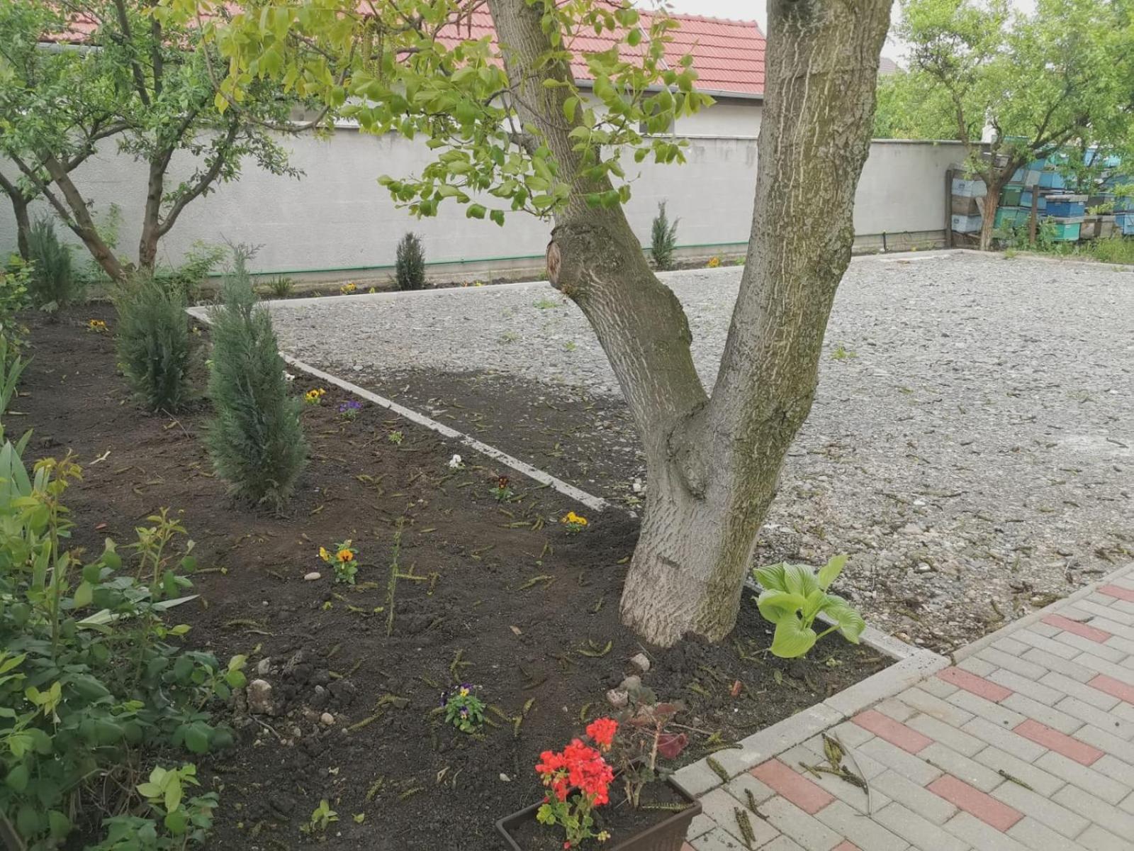 Photo 34