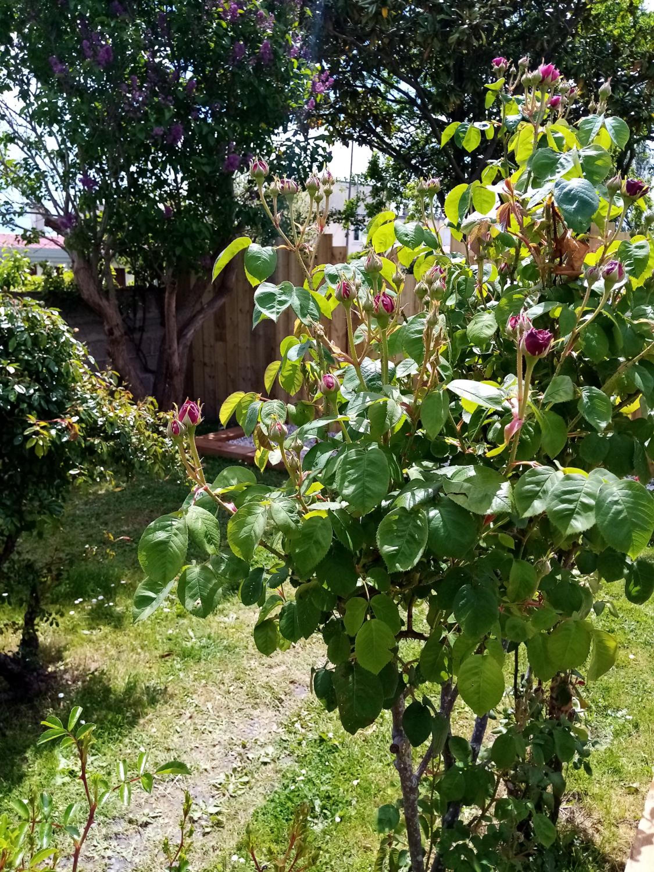 Photo 22