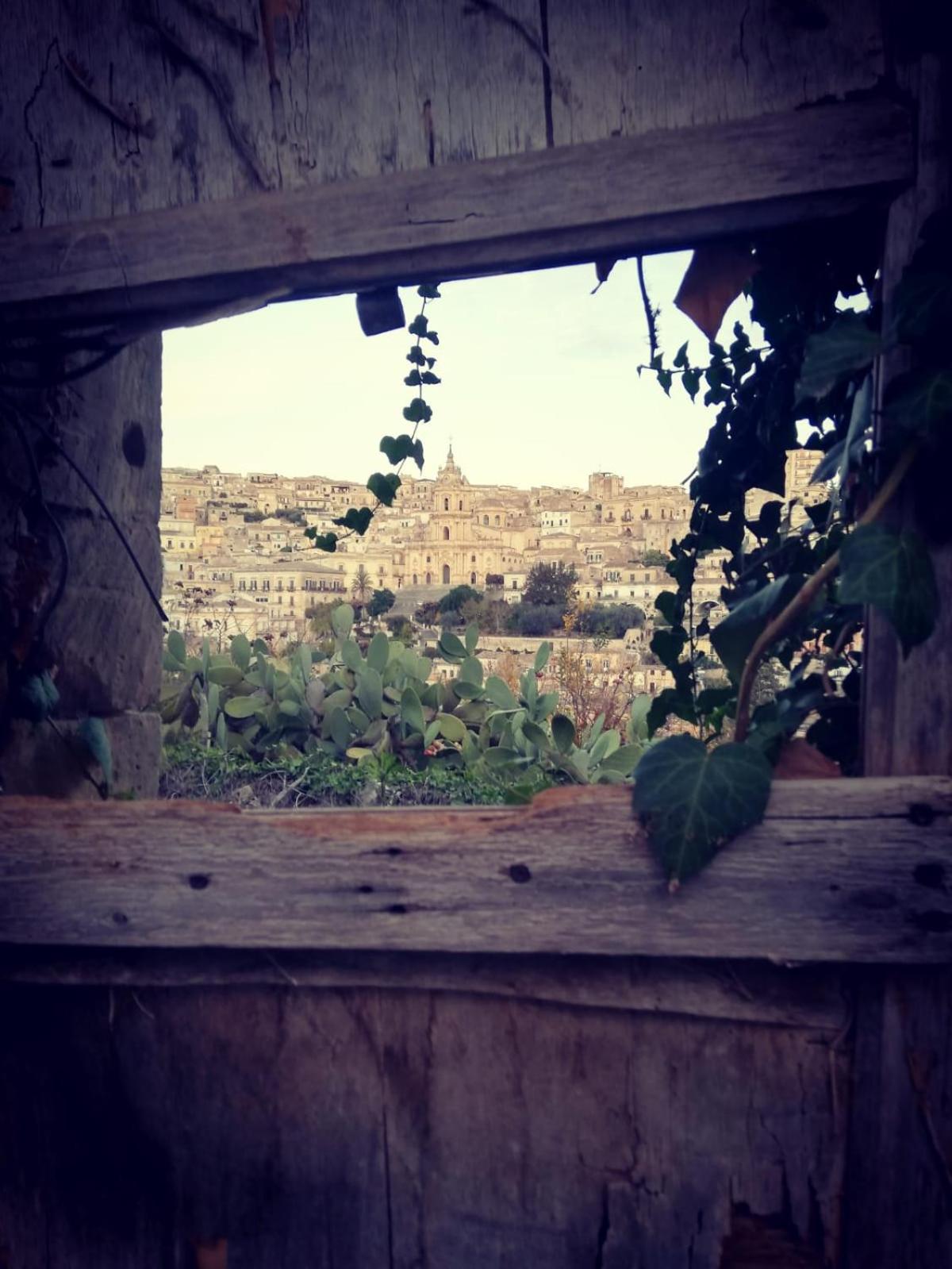 Photo 43