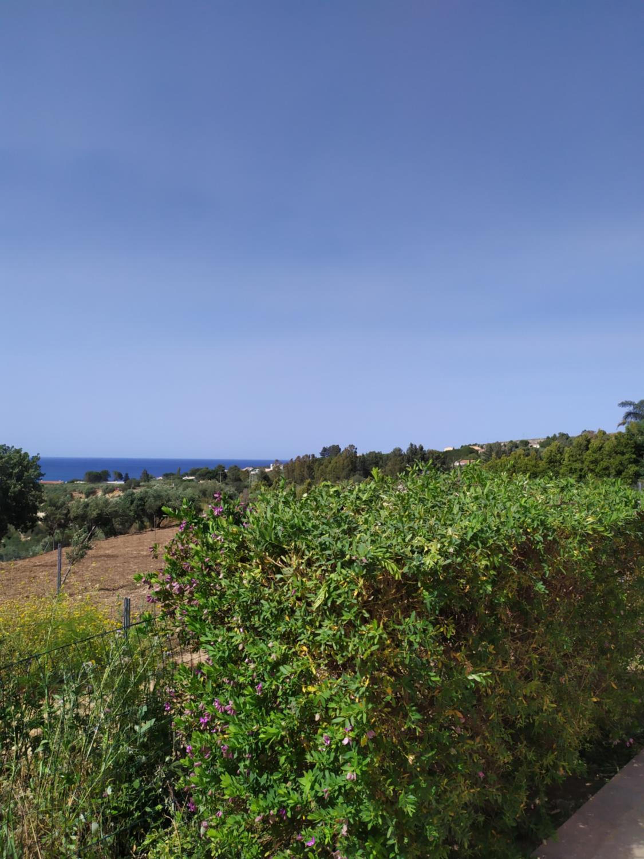 Antico Rustico