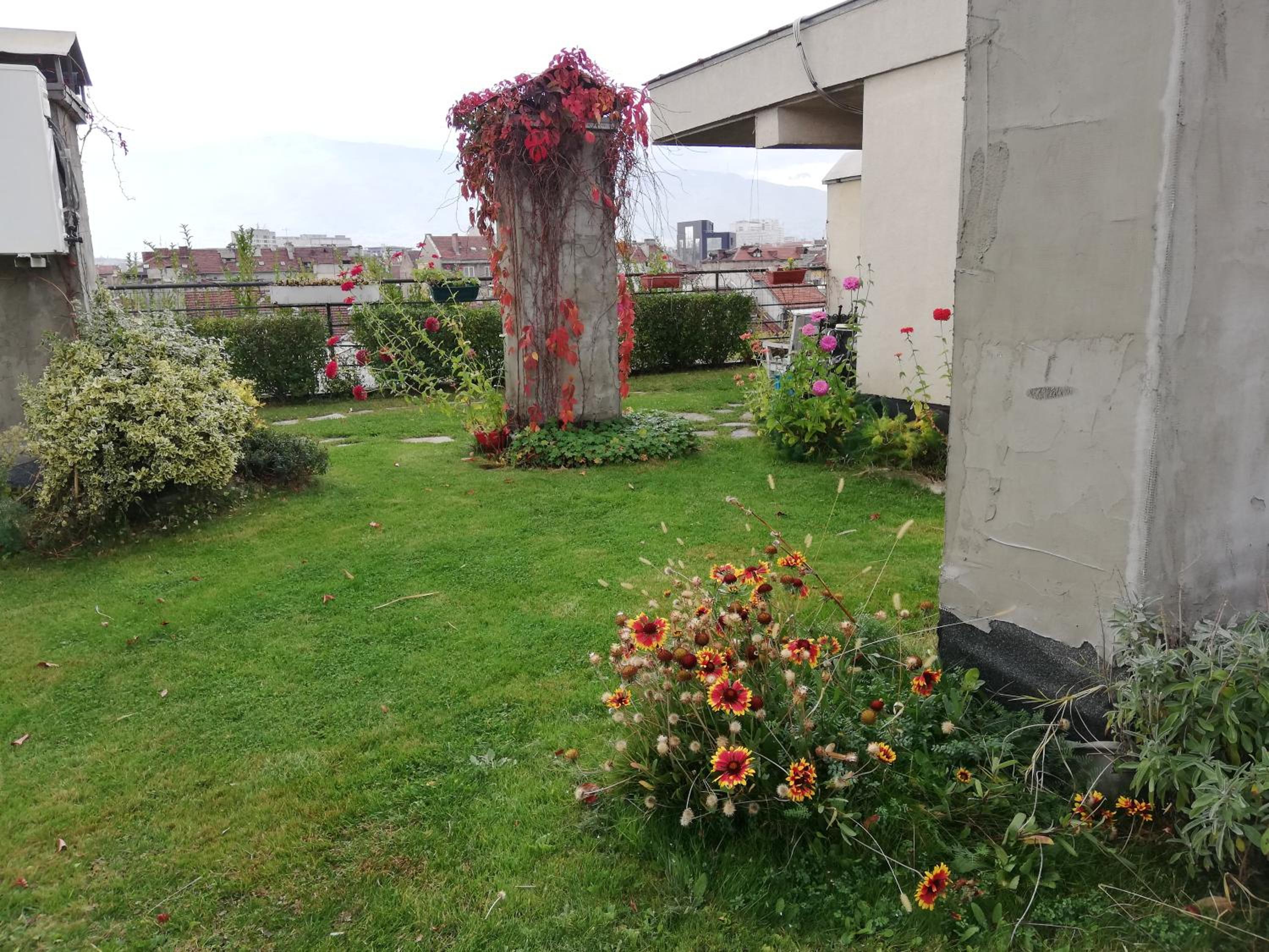 Photo 26