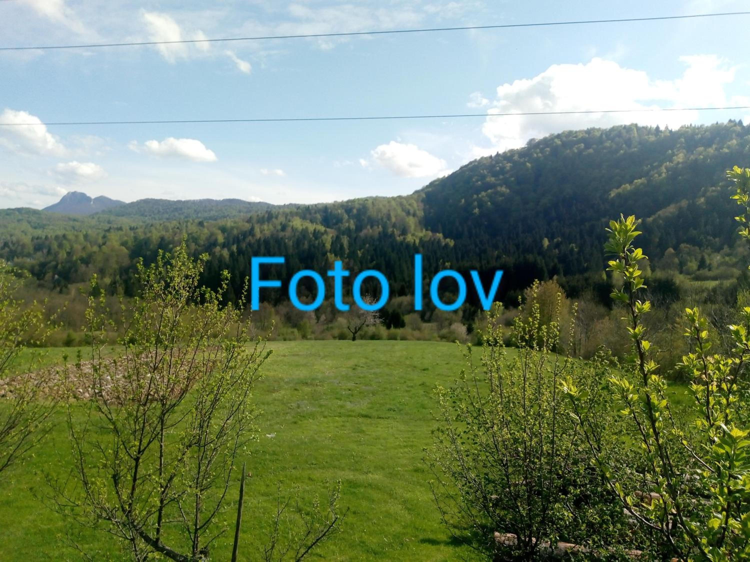 Photo 33