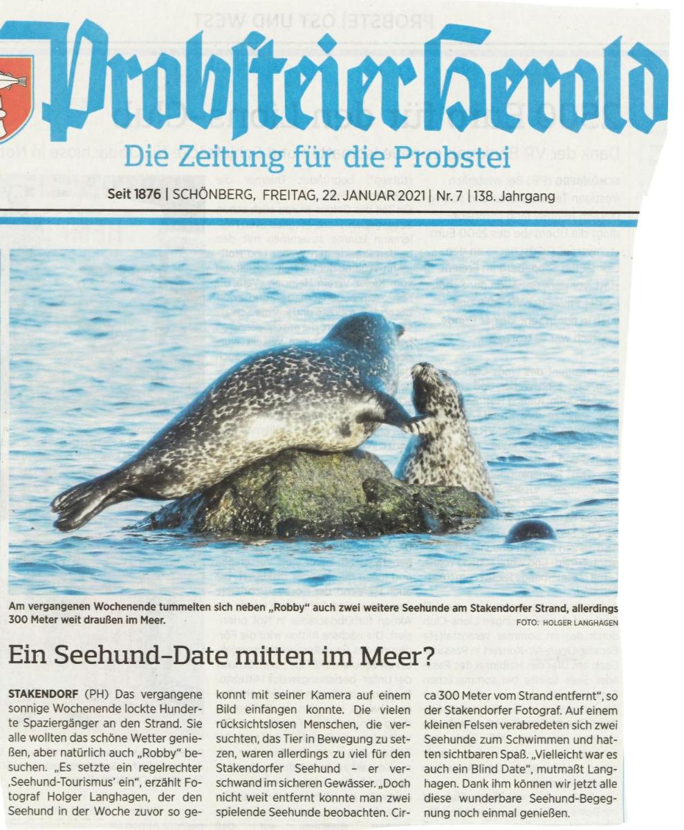 Ostsee Robbe
