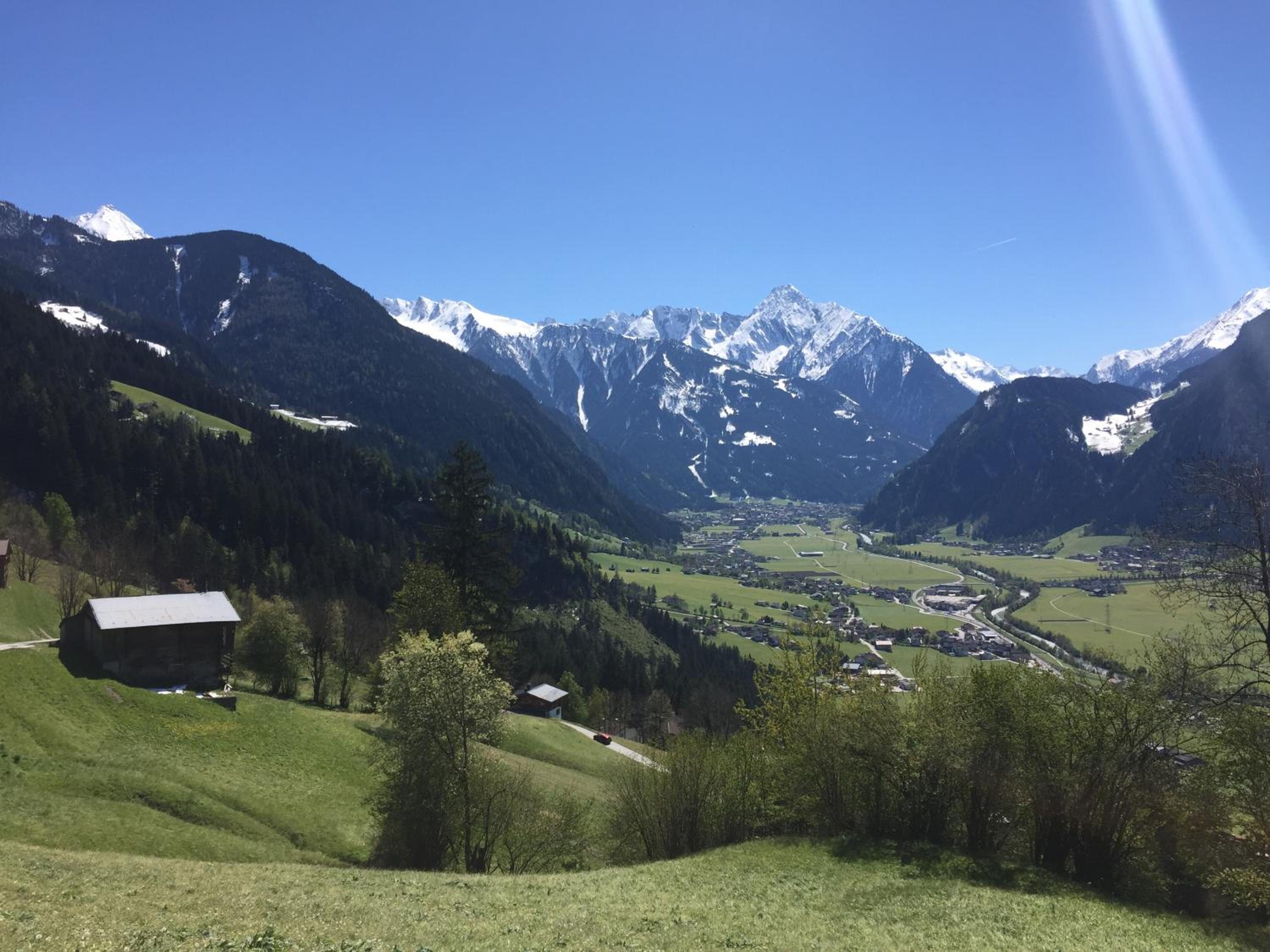 Photo 21