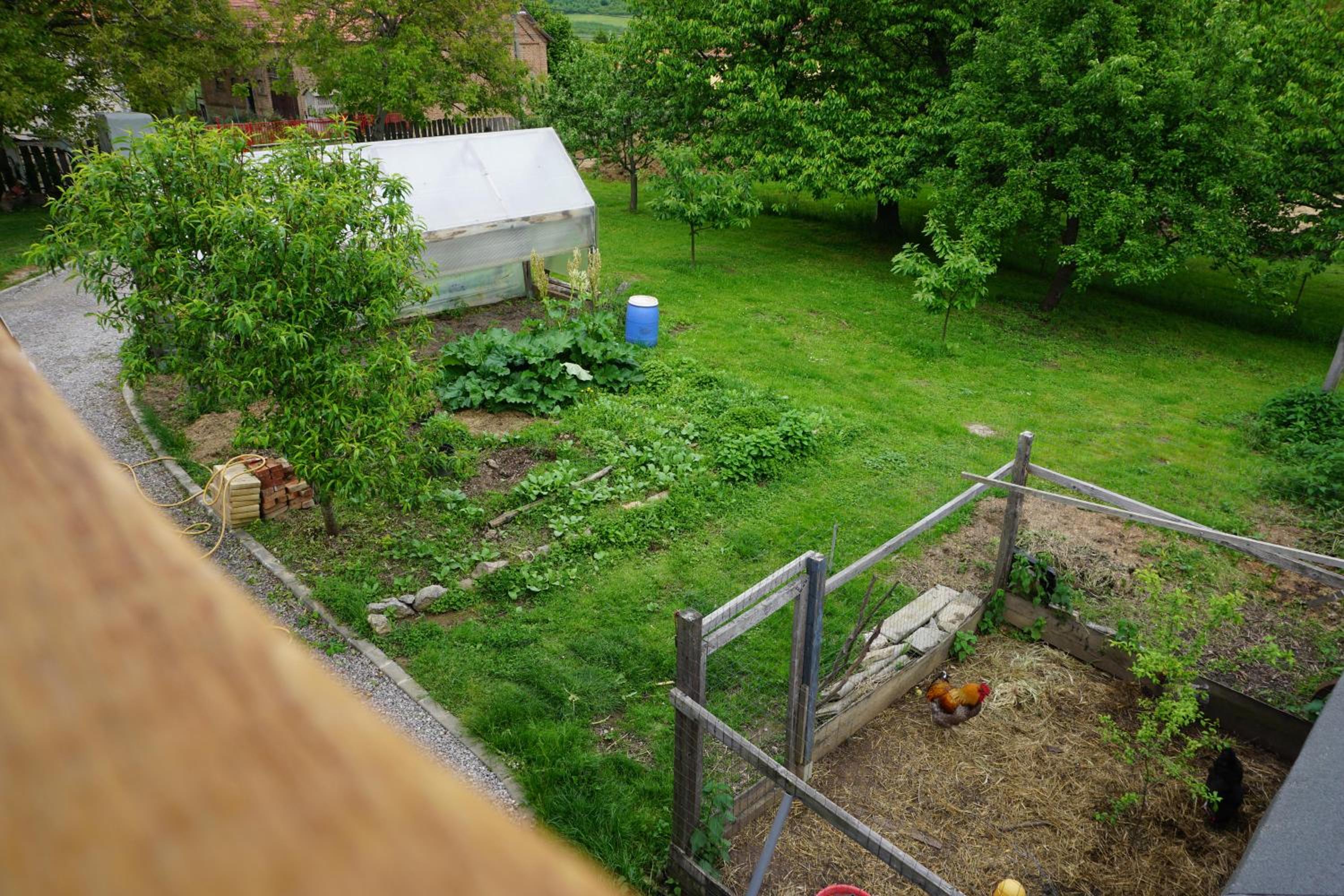 Photo 35
