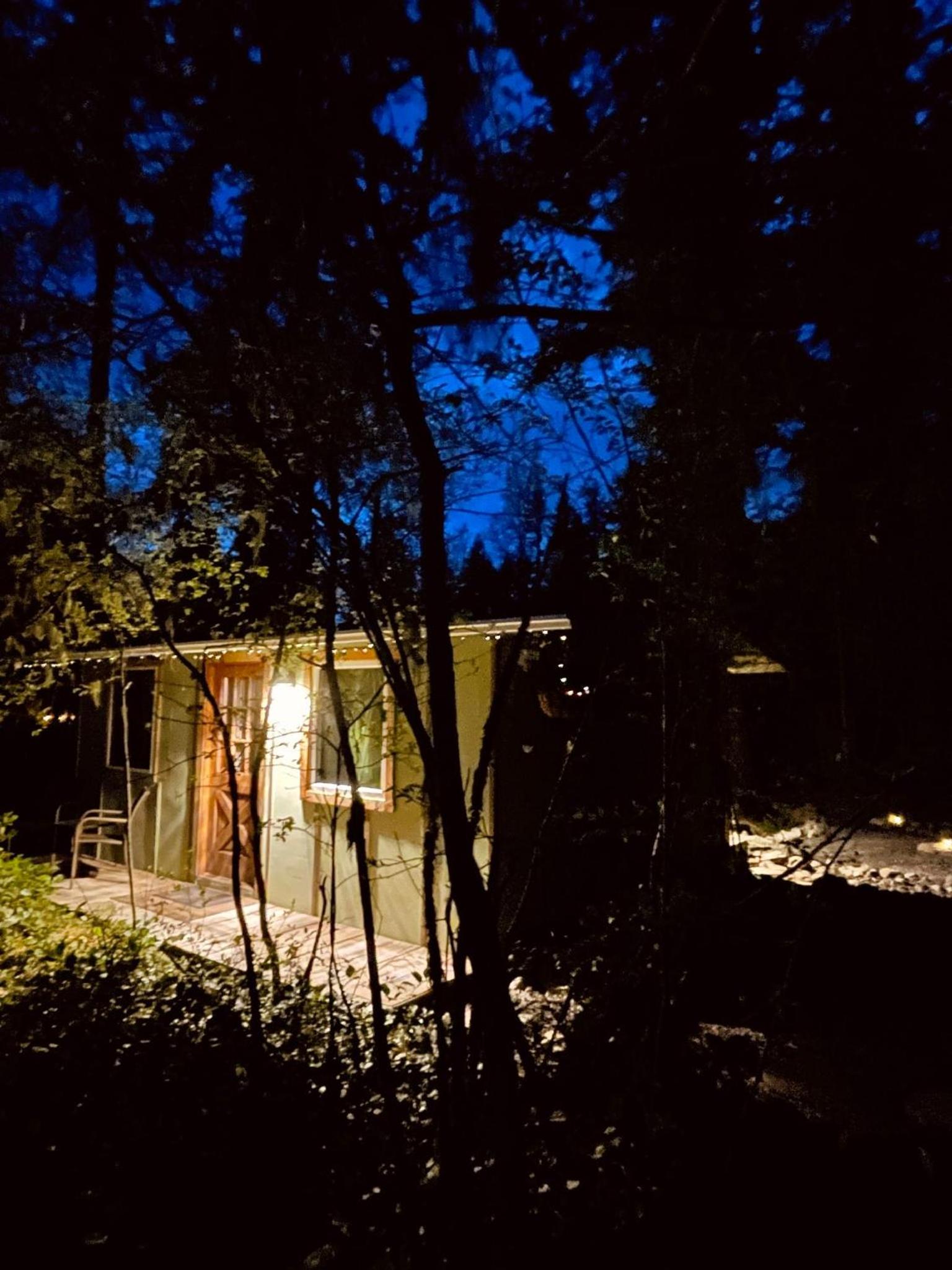 Mt Rainier Little Green Cabin On Big Creek! view 5