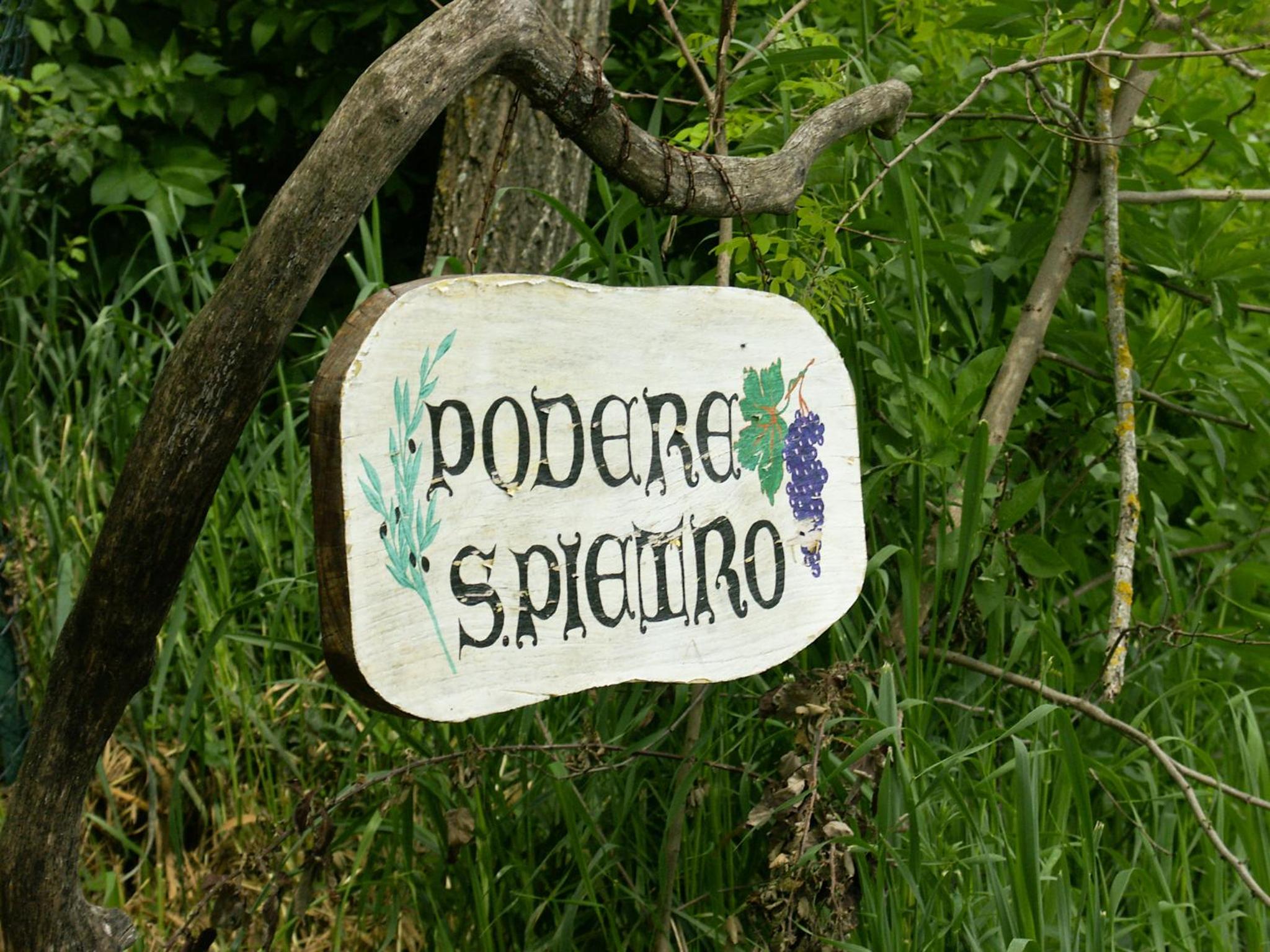 Photo 35