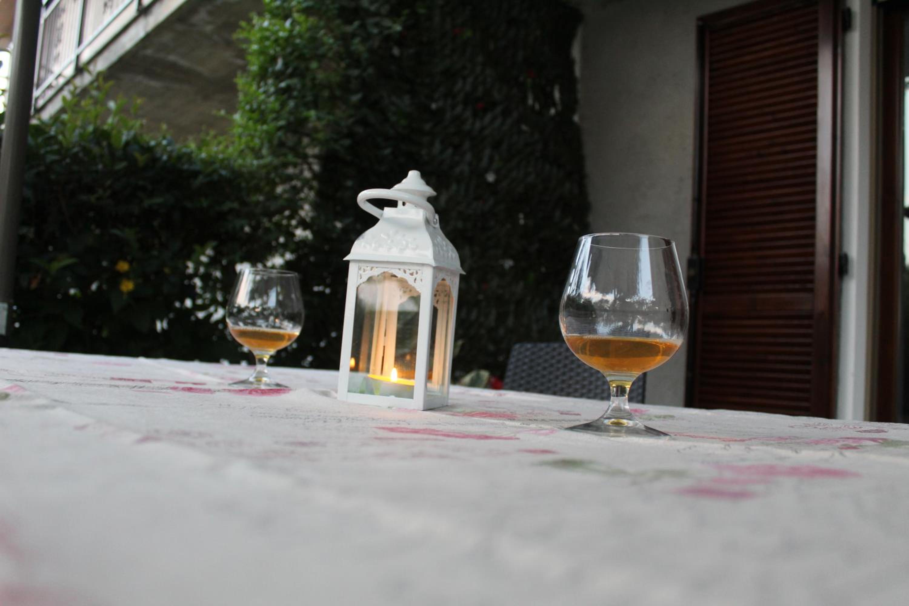 Relax in the Olive Grove photo 5