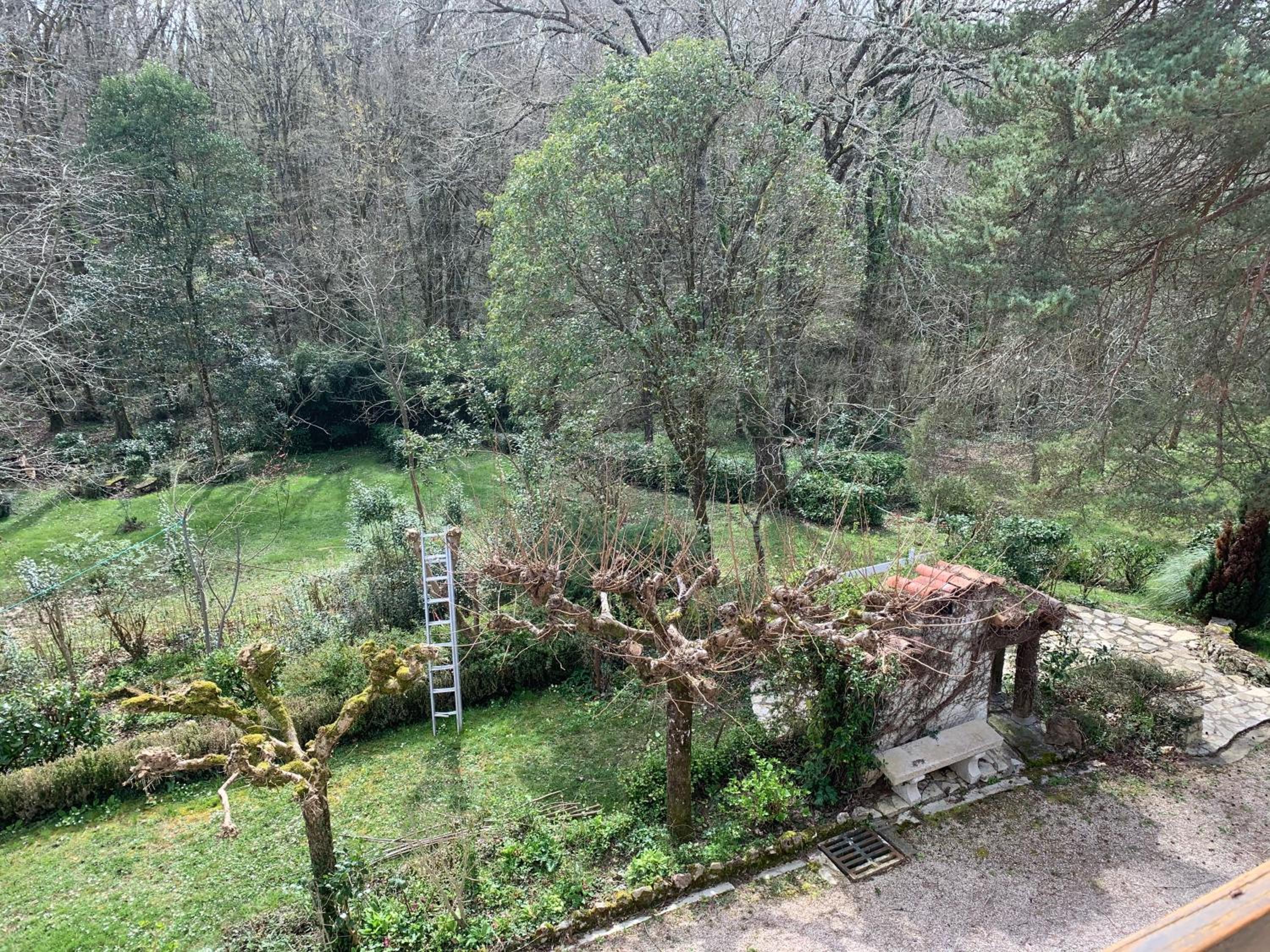 garden