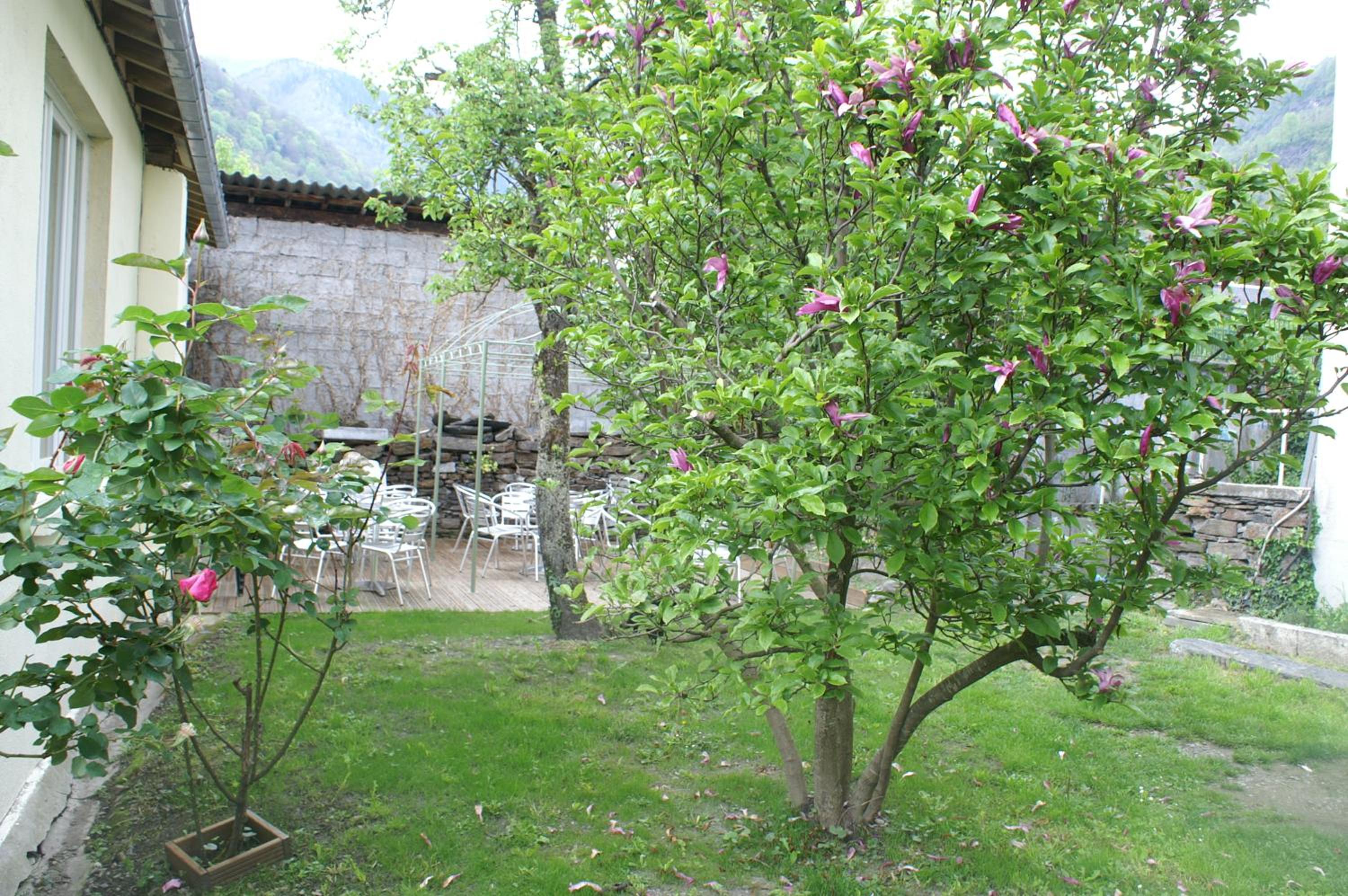 garden