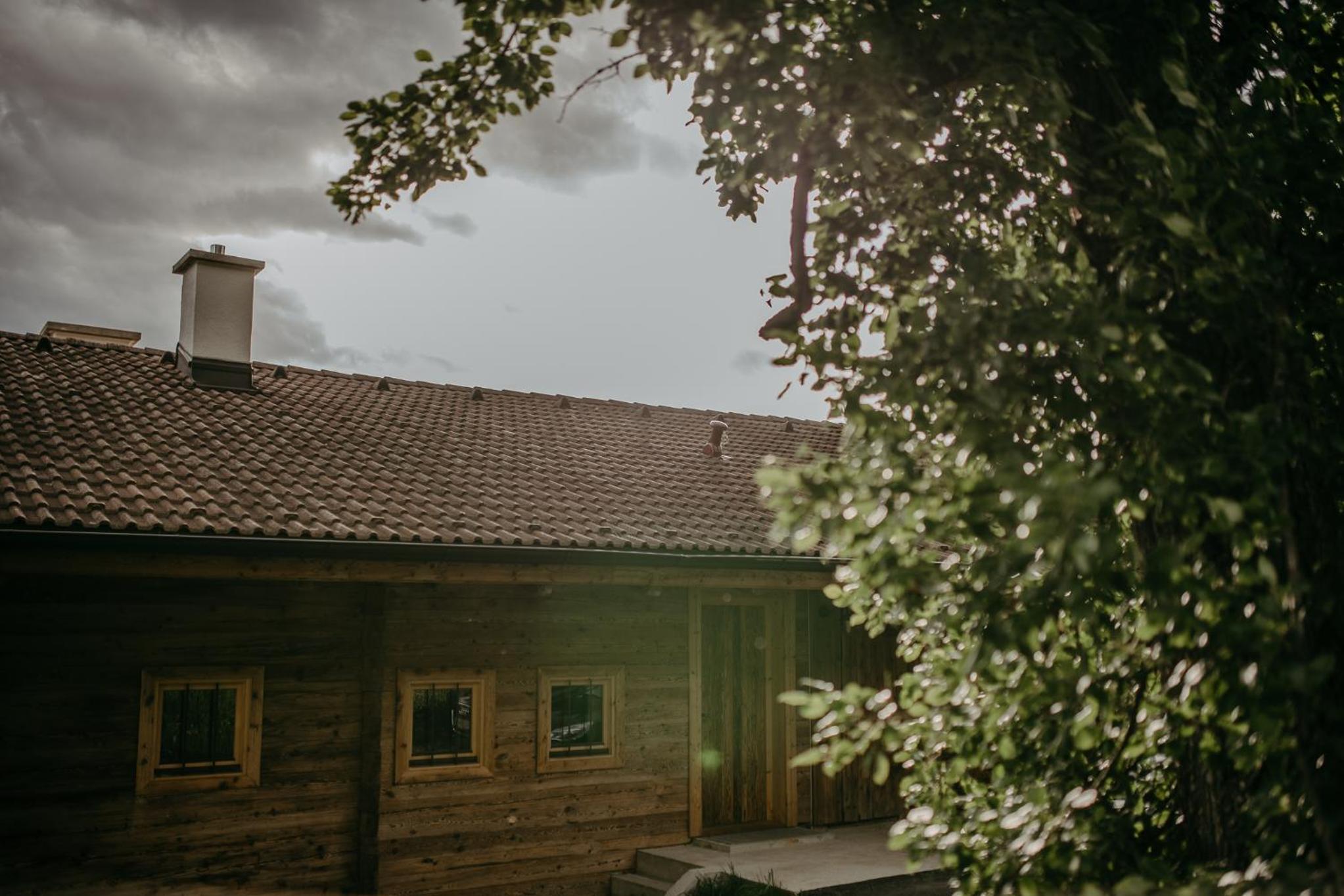 Photo 41