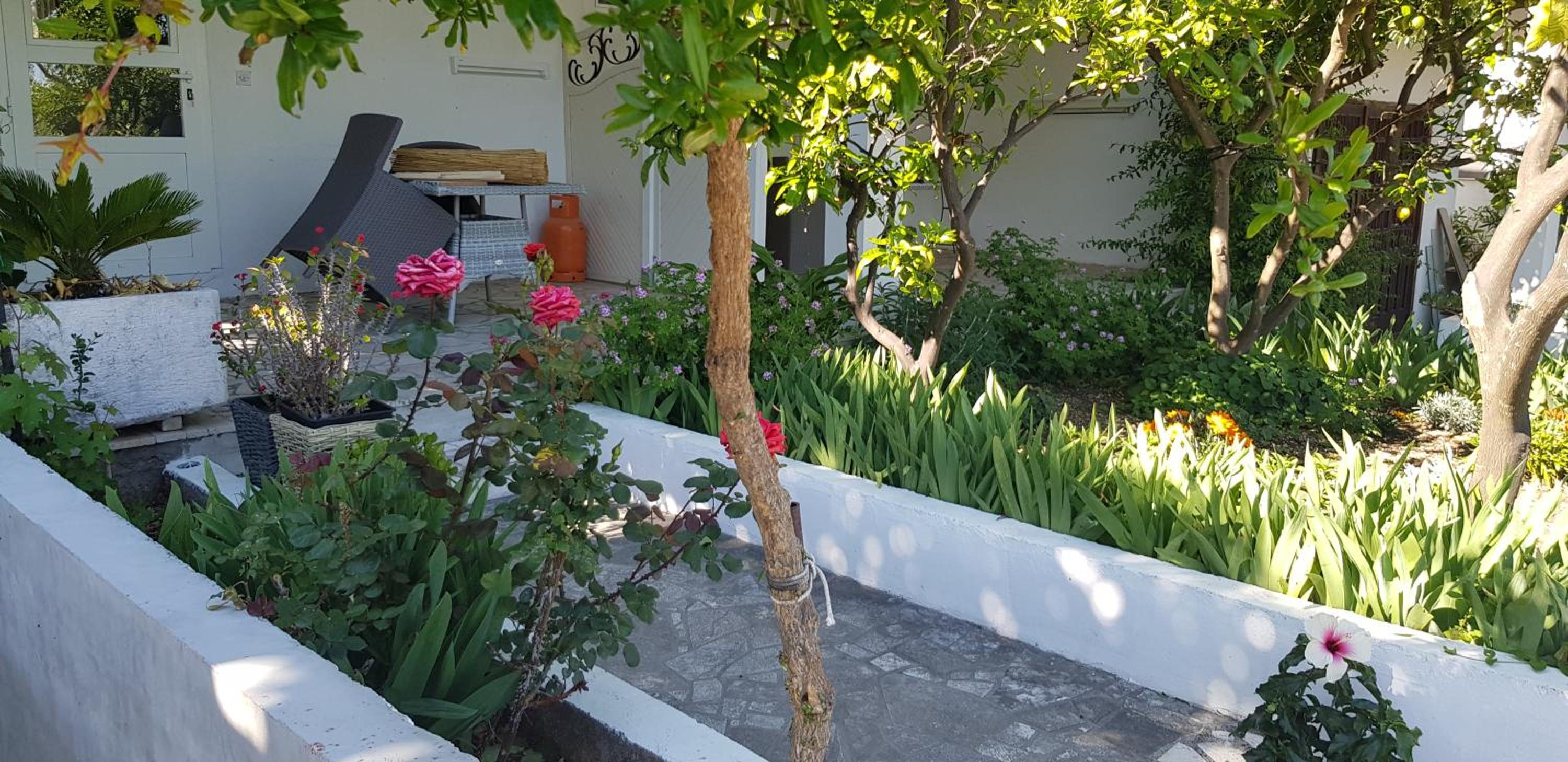 Photo 25