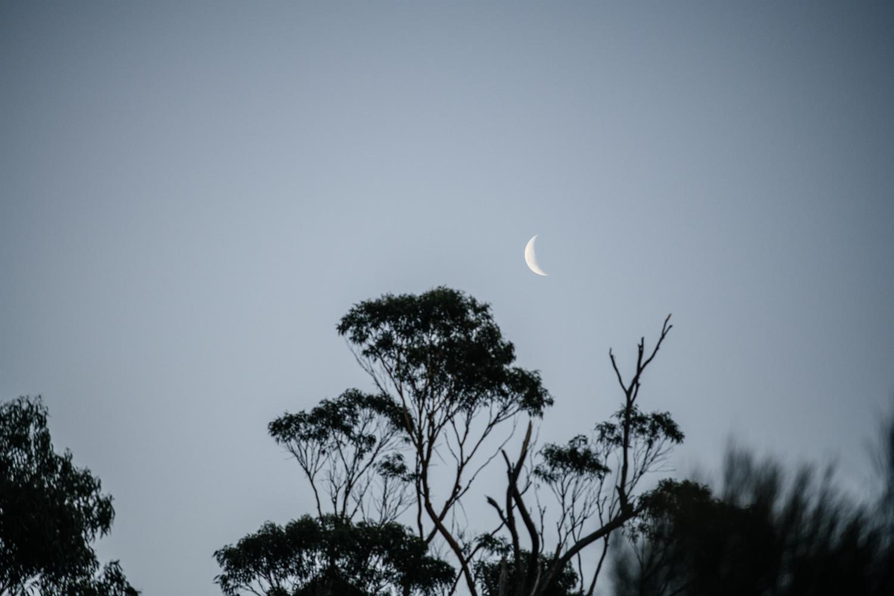 Freycinet Resort