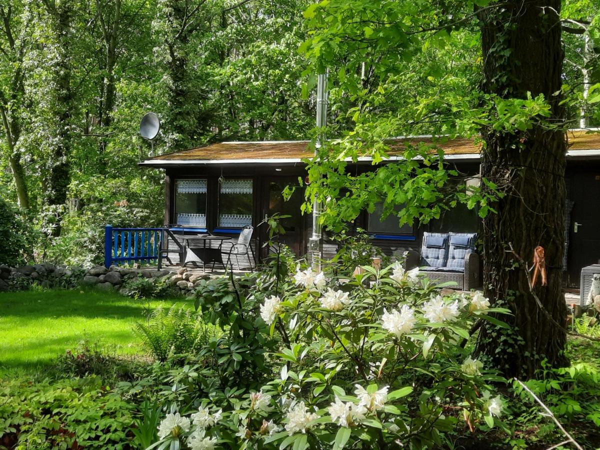 Ferienidyll Alte Eichen
