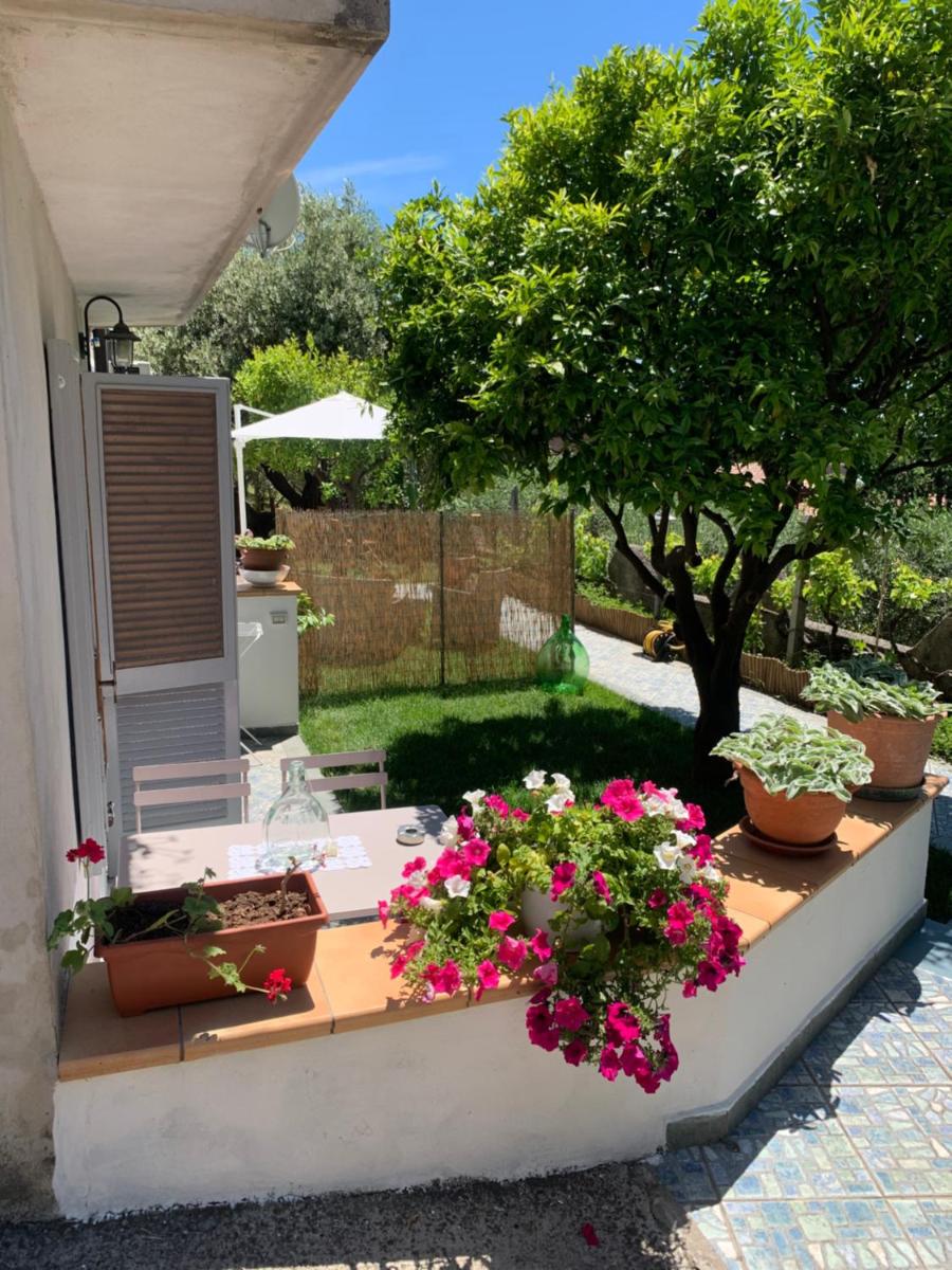 B&B Blanda view 5