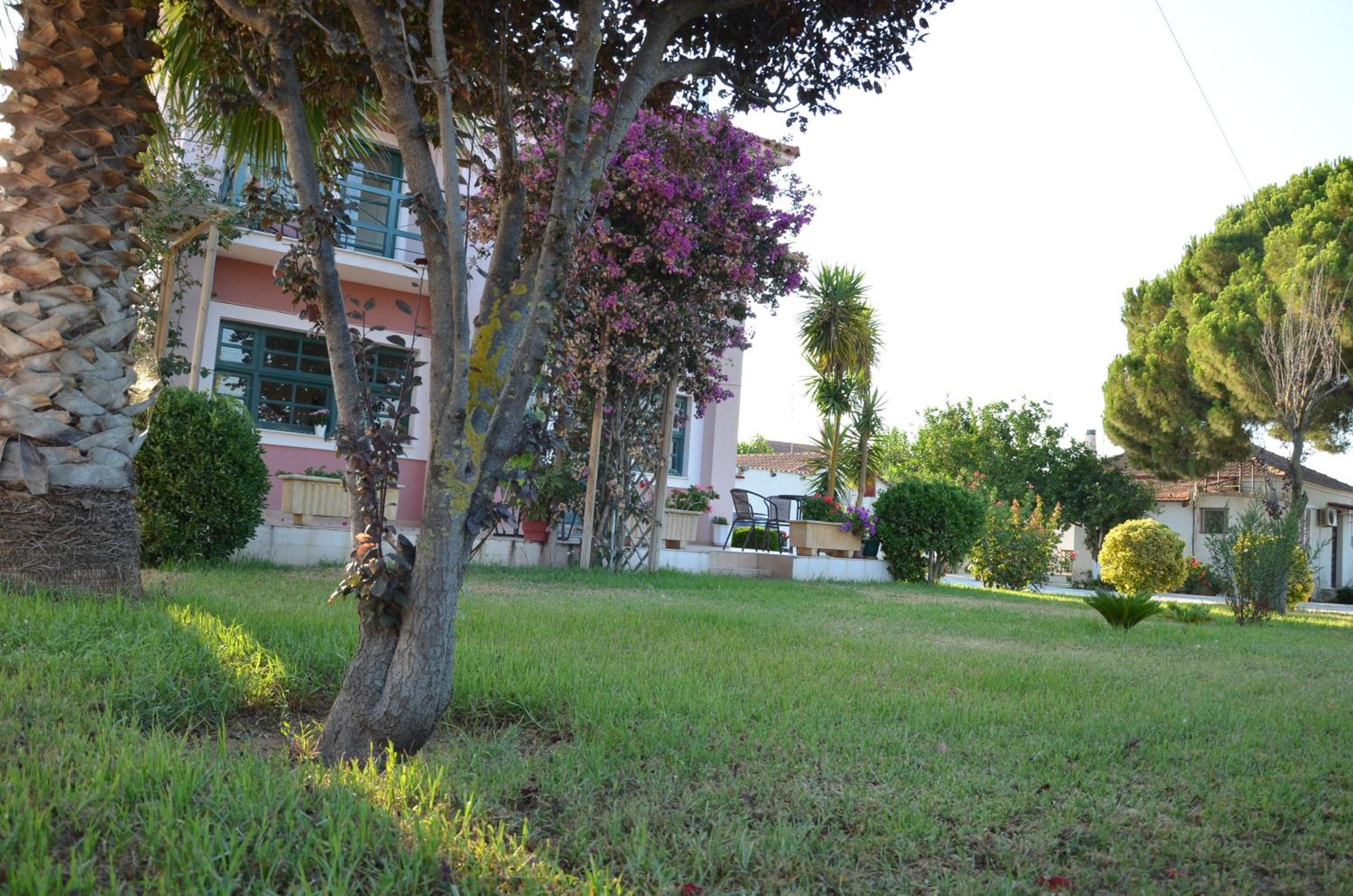 Photo 6