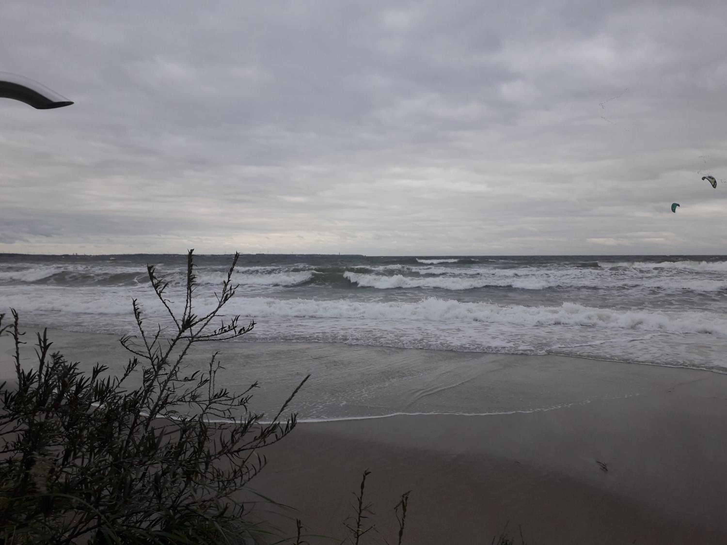 Photo 43