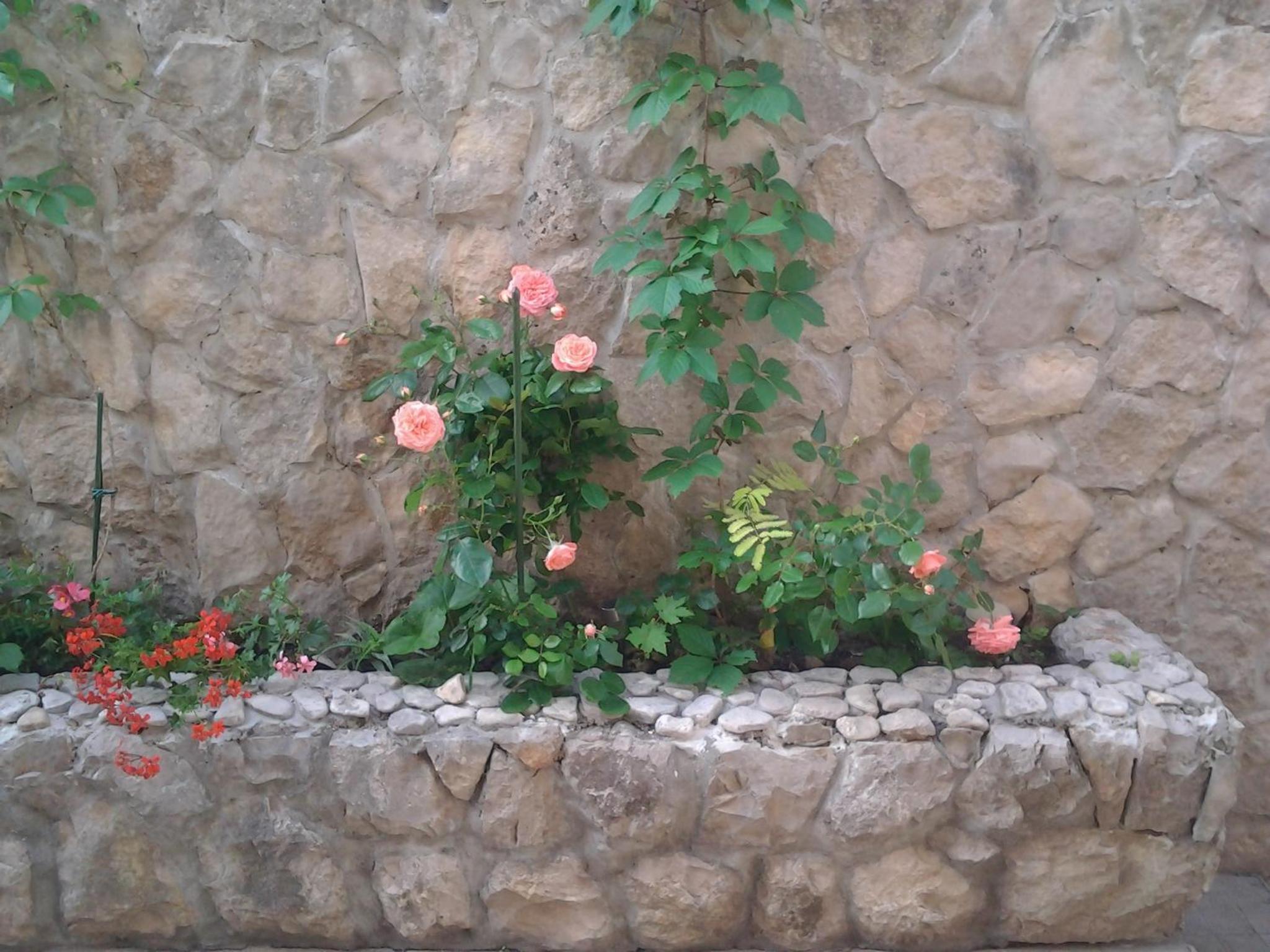 Photo 24