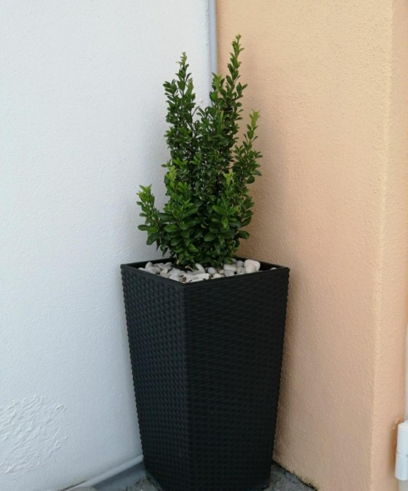 Photo 37