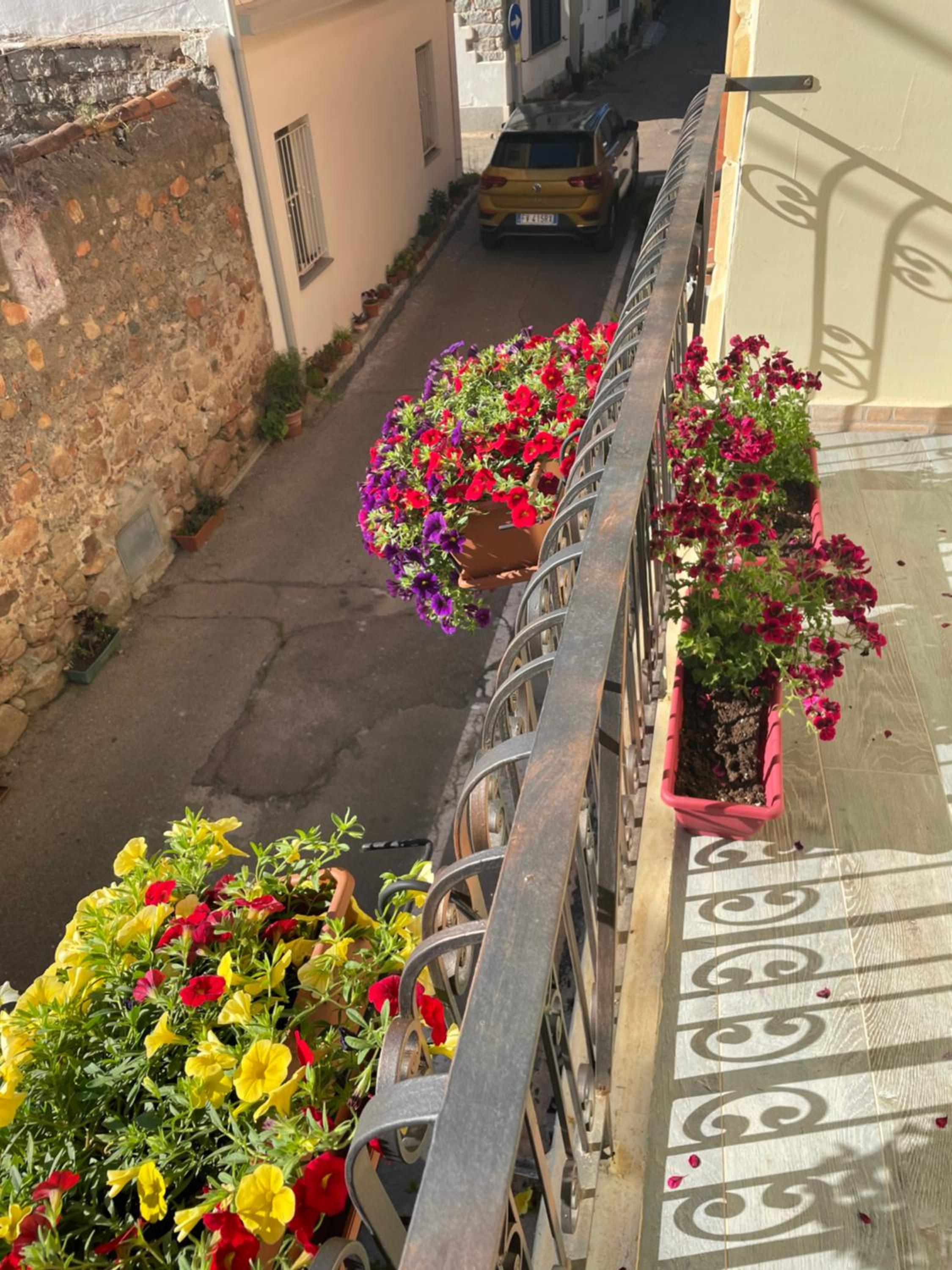 Photo 16