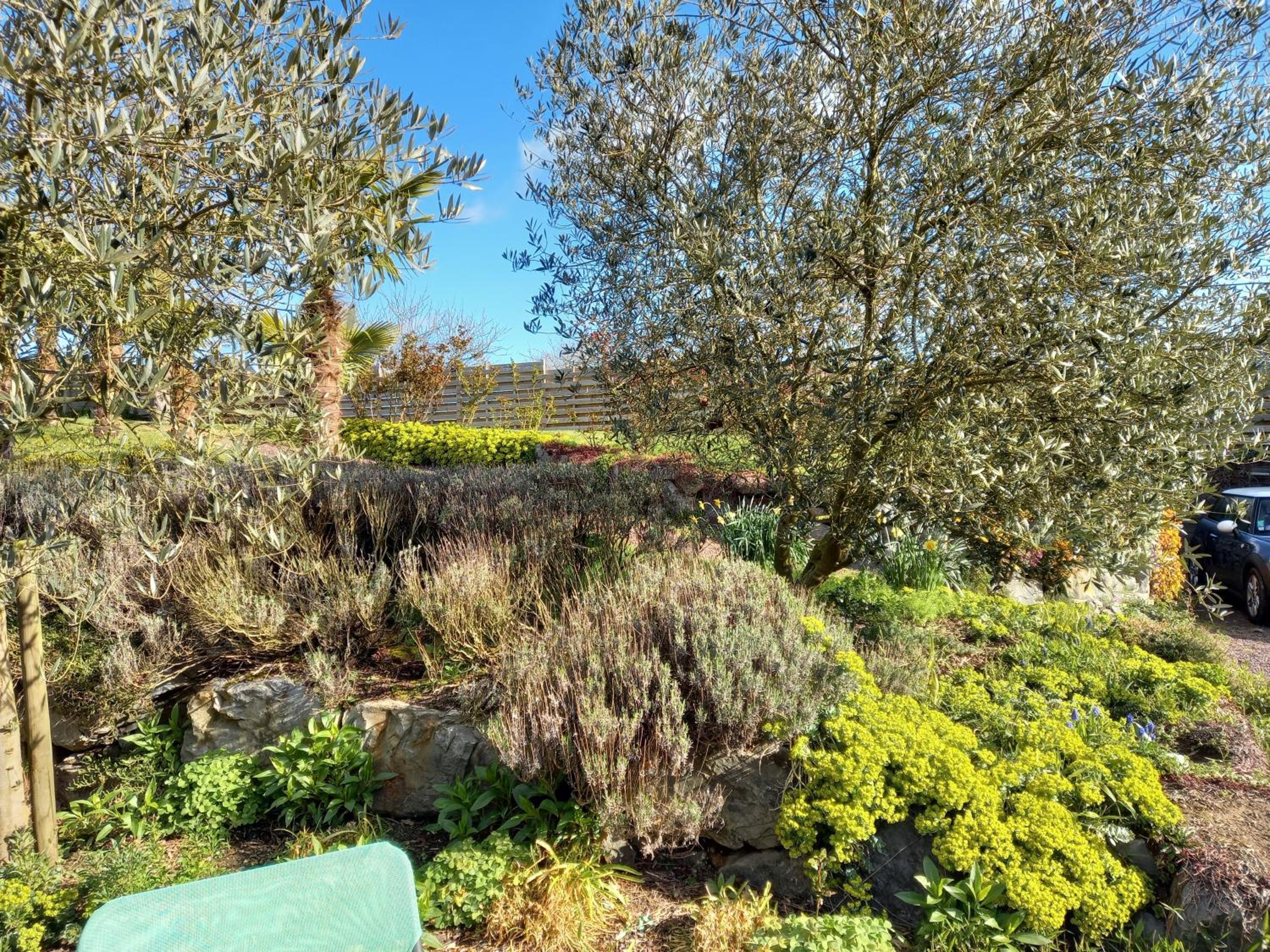 Havre de paix et jardin tropical. Chambre privée