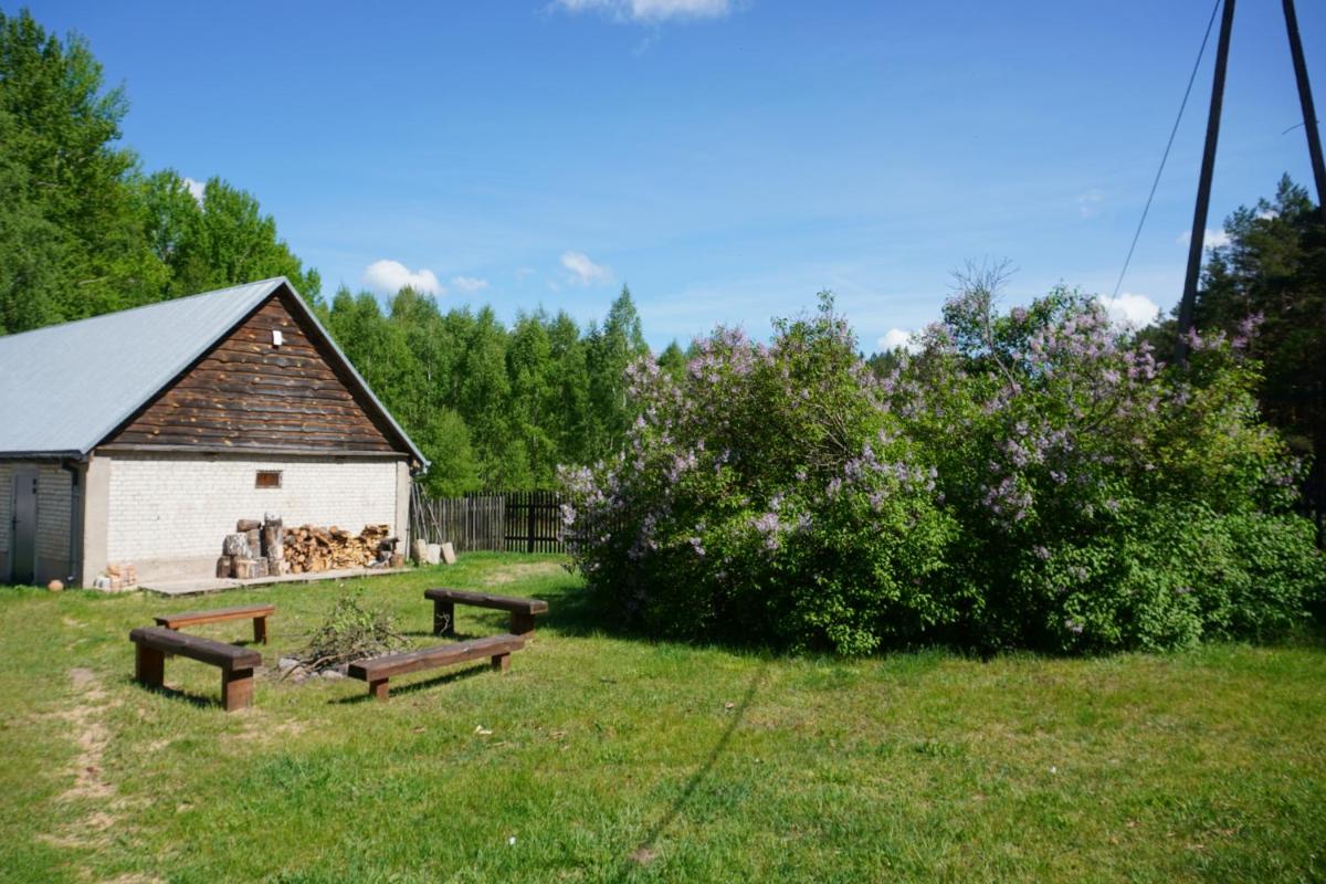 Photo 23
