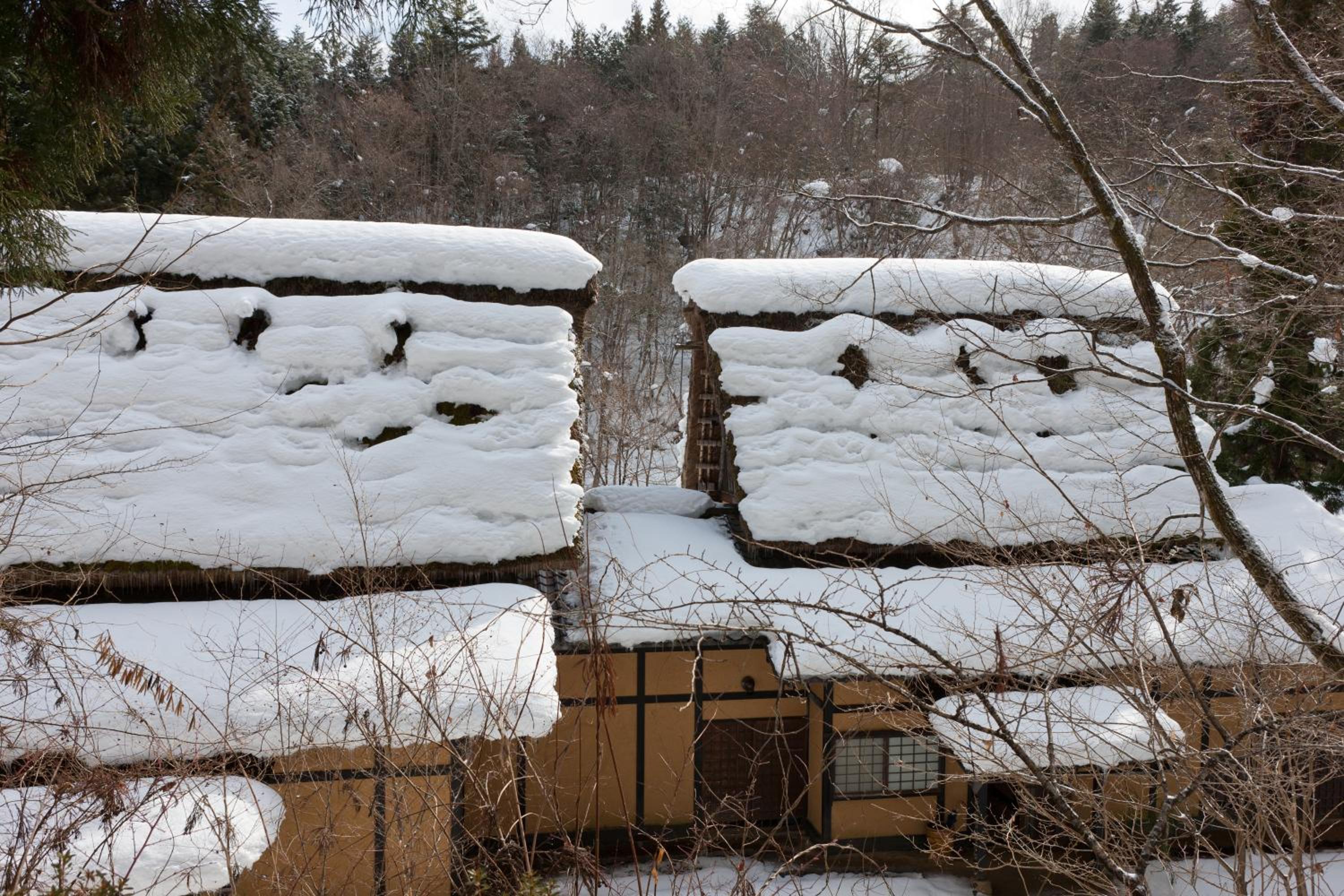 Wanosato view 3