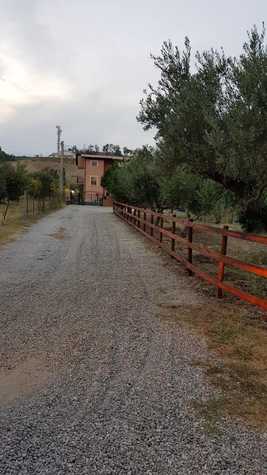 Photo 38