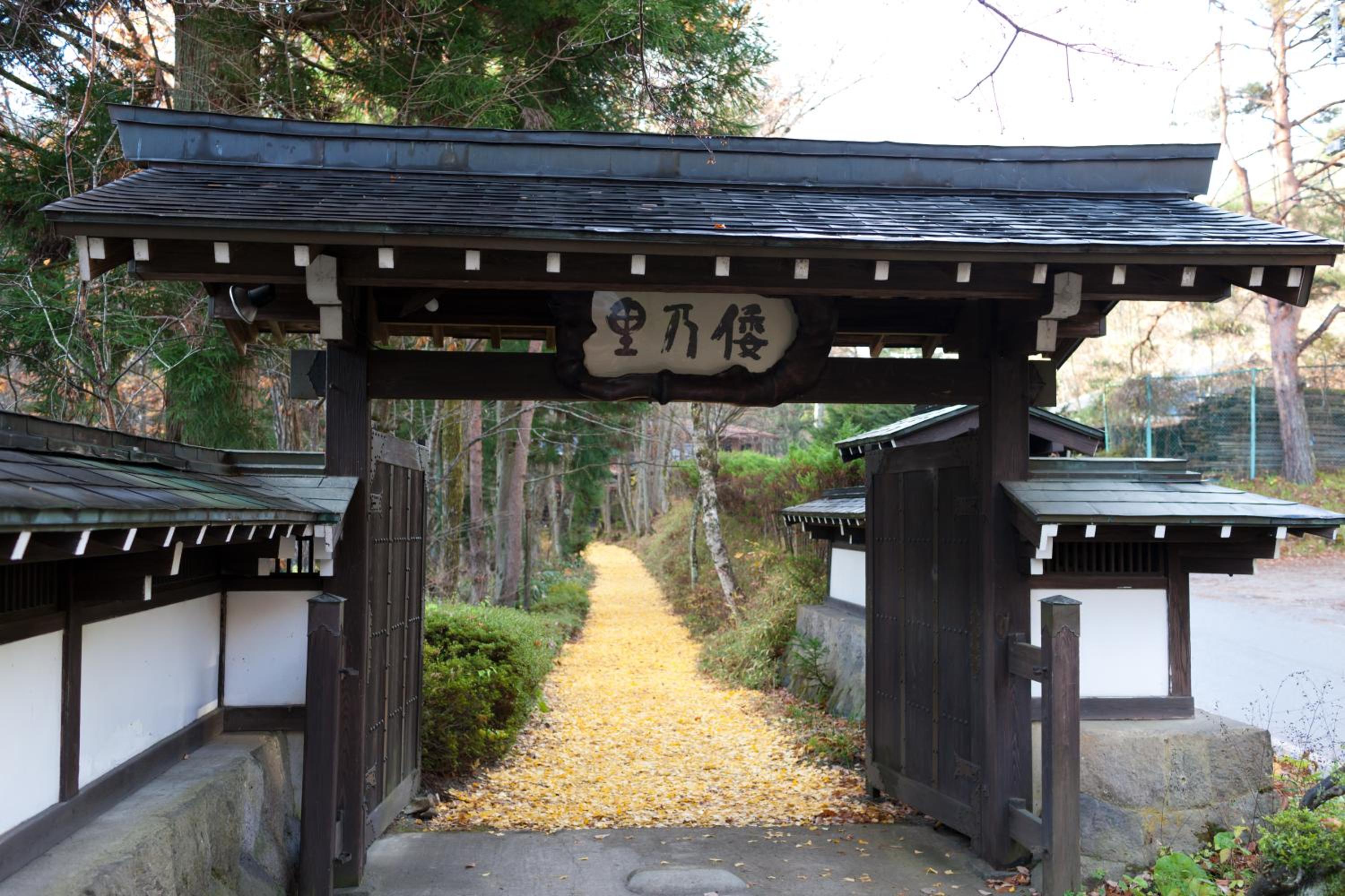 Photo 44
