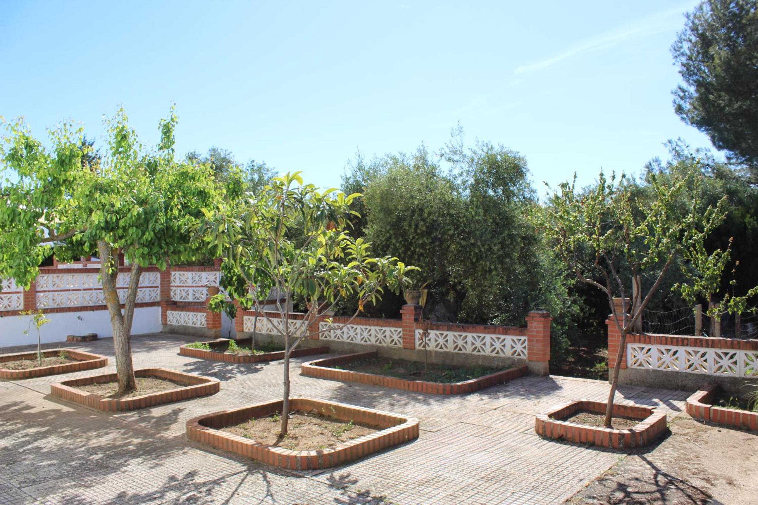Photo 15