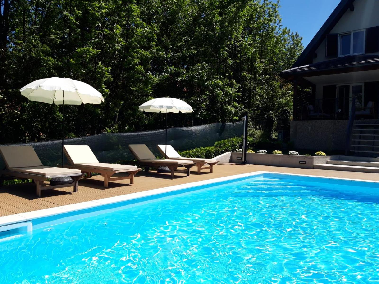 GreenHouse pool & spa view 5