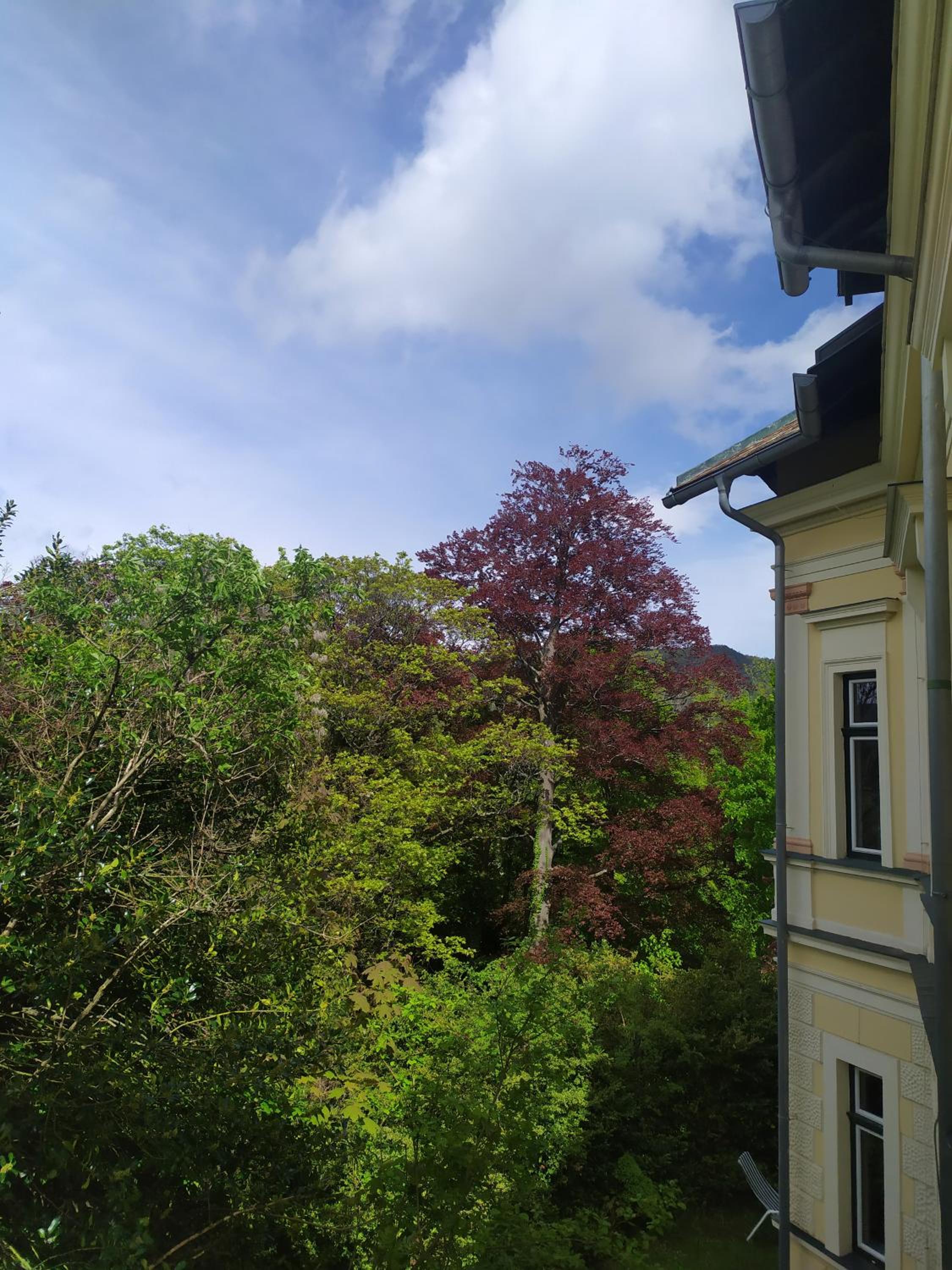 Villa Petterhof