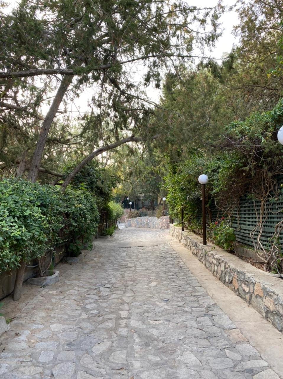 Sadeem Village & Chalet