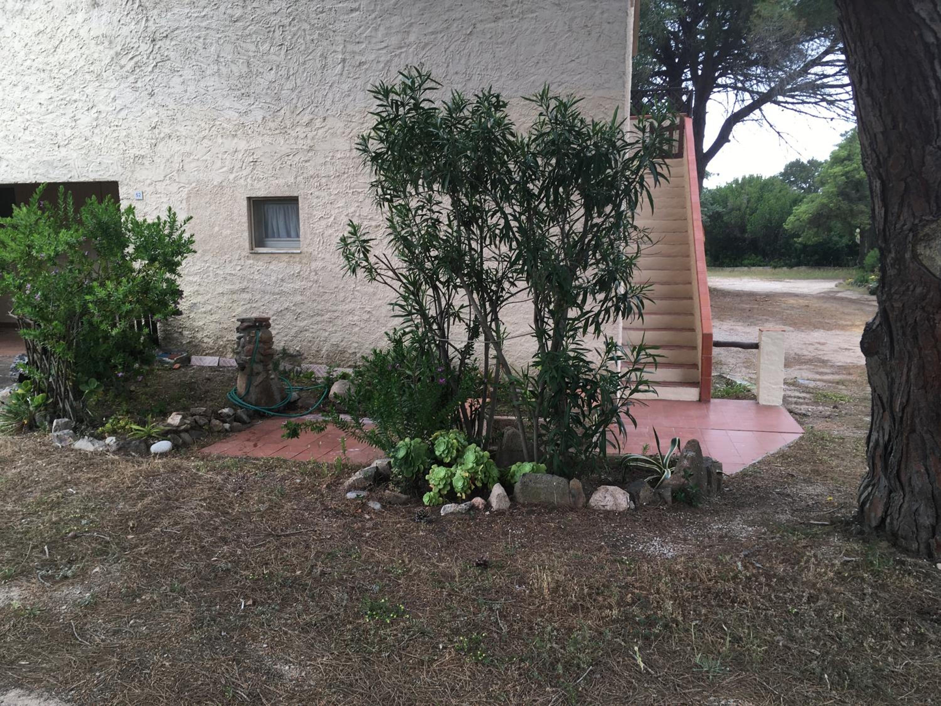 Monolocale a Rena Majore di Gallura view 4