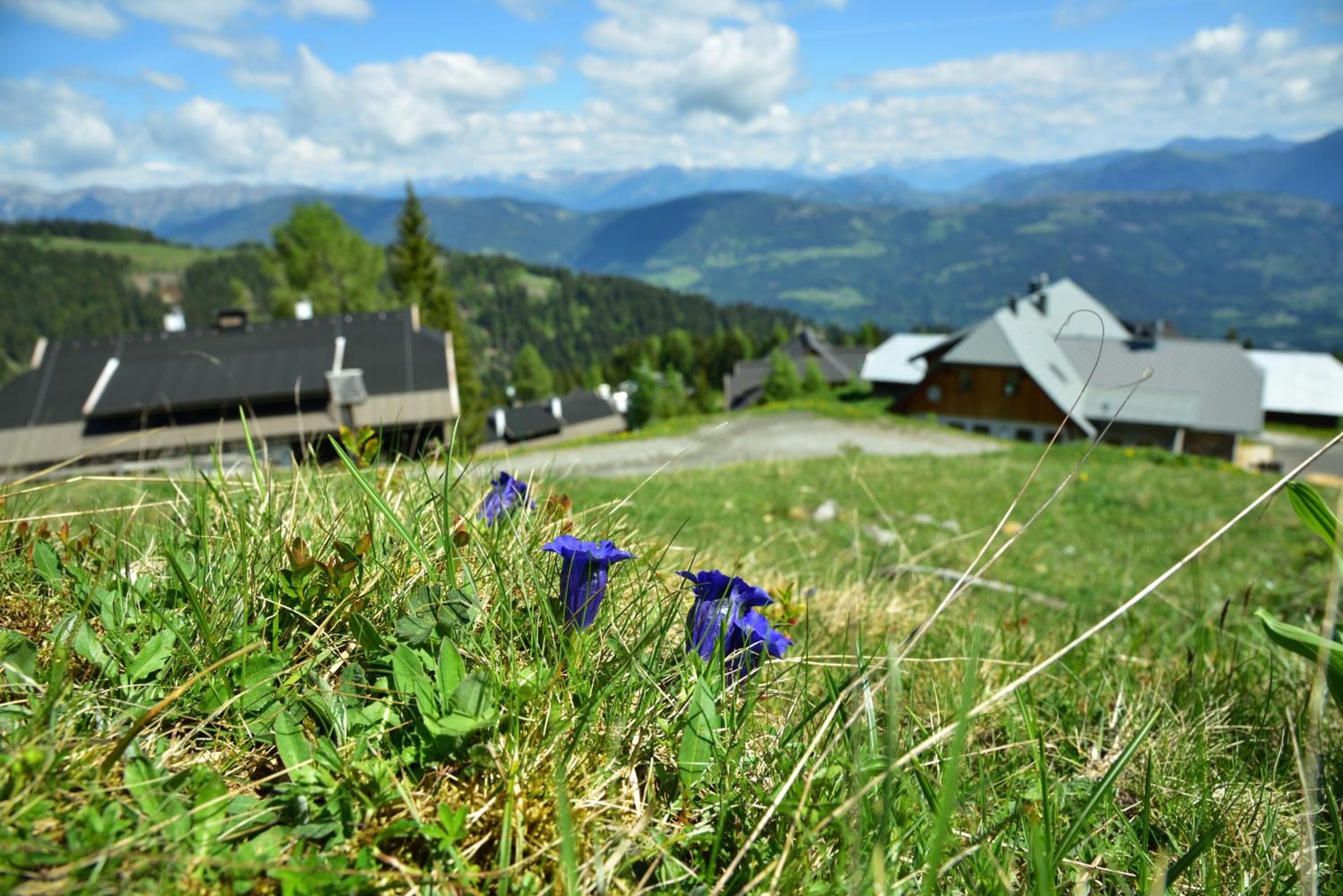 Apartment Sonnleitn/Nassfeld