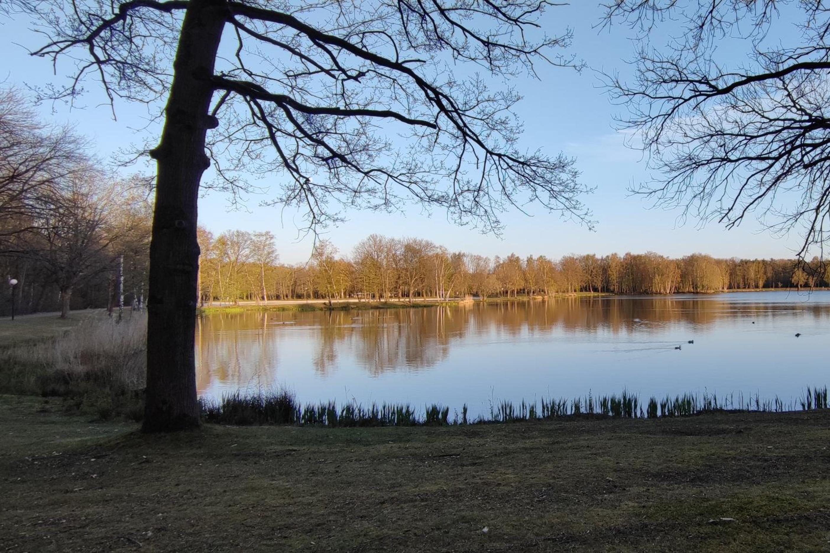 Lauwie 14